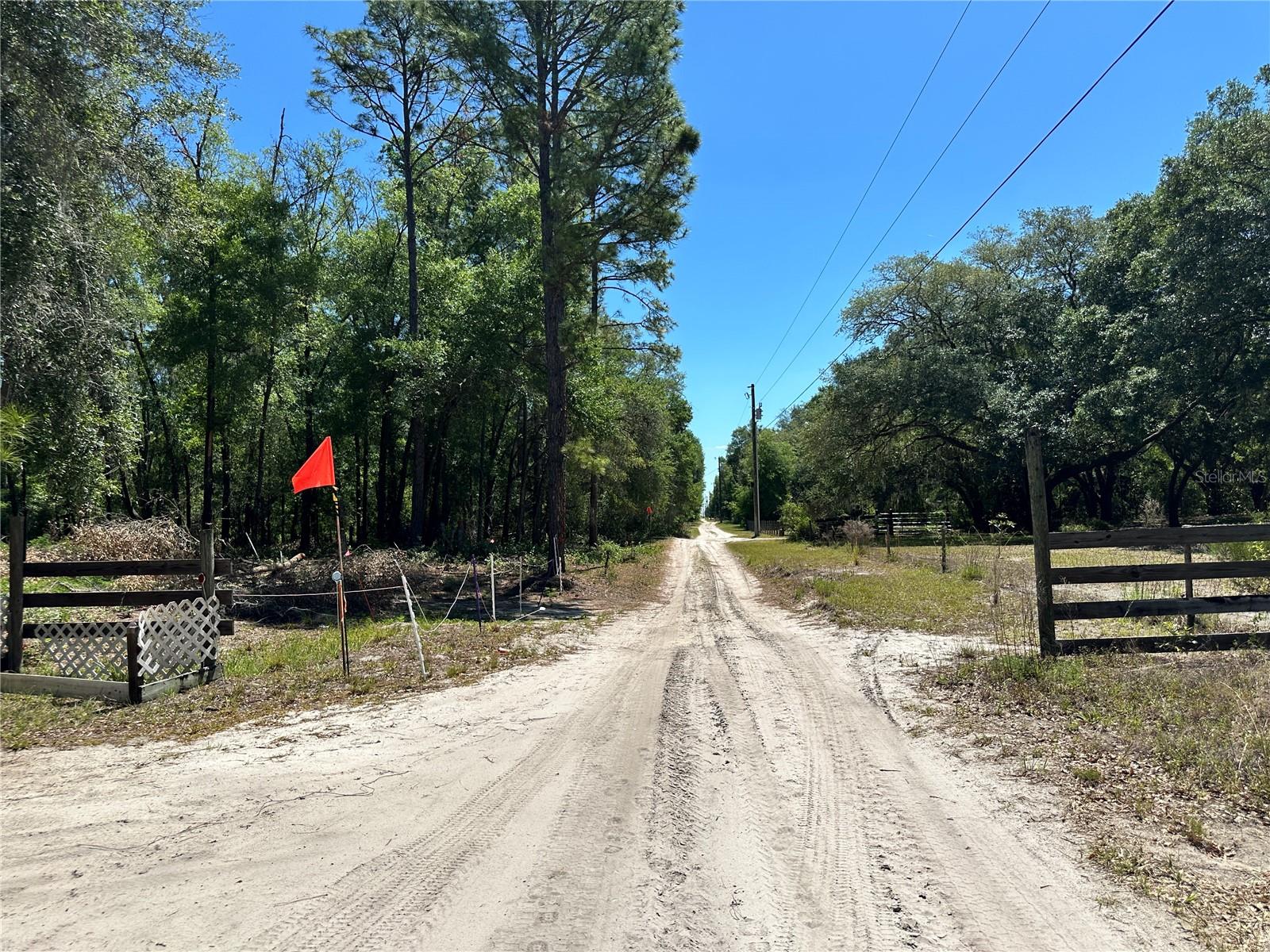 TBD NE 128TH LN, BRONSON, FL — photo 8