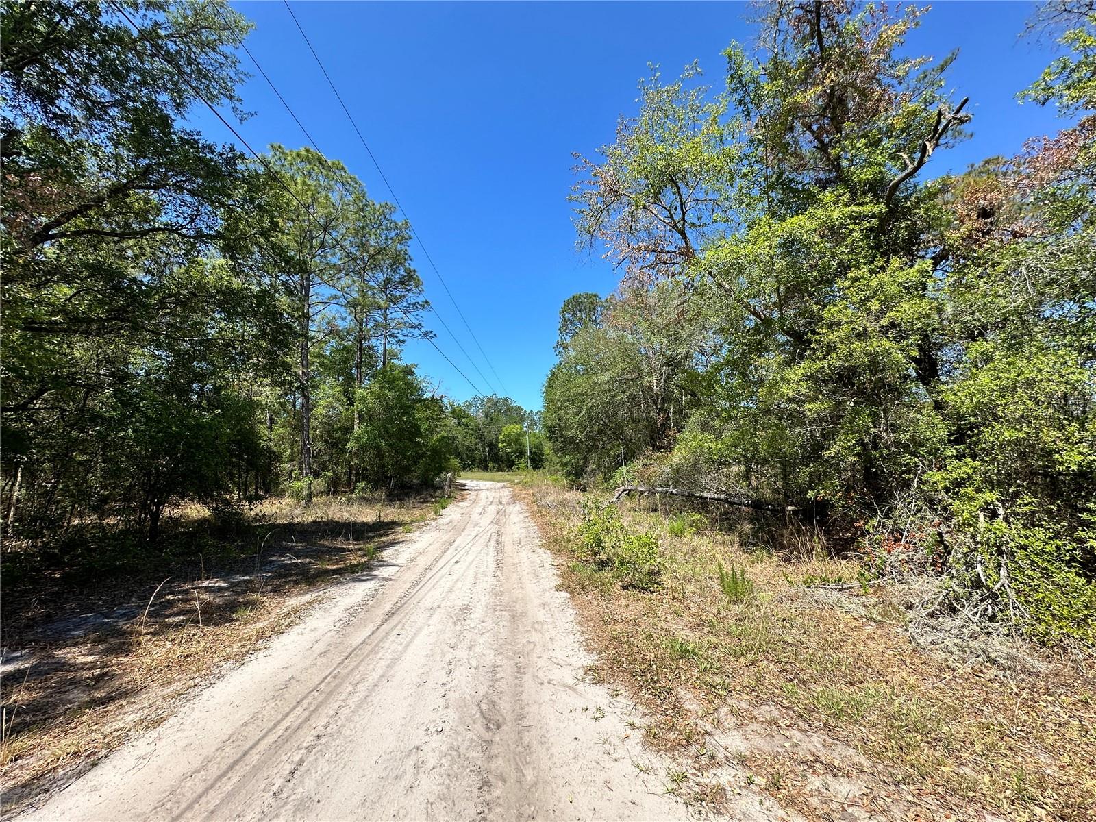 TBD NE 128TH LN, BRONSON, FL — photo 9