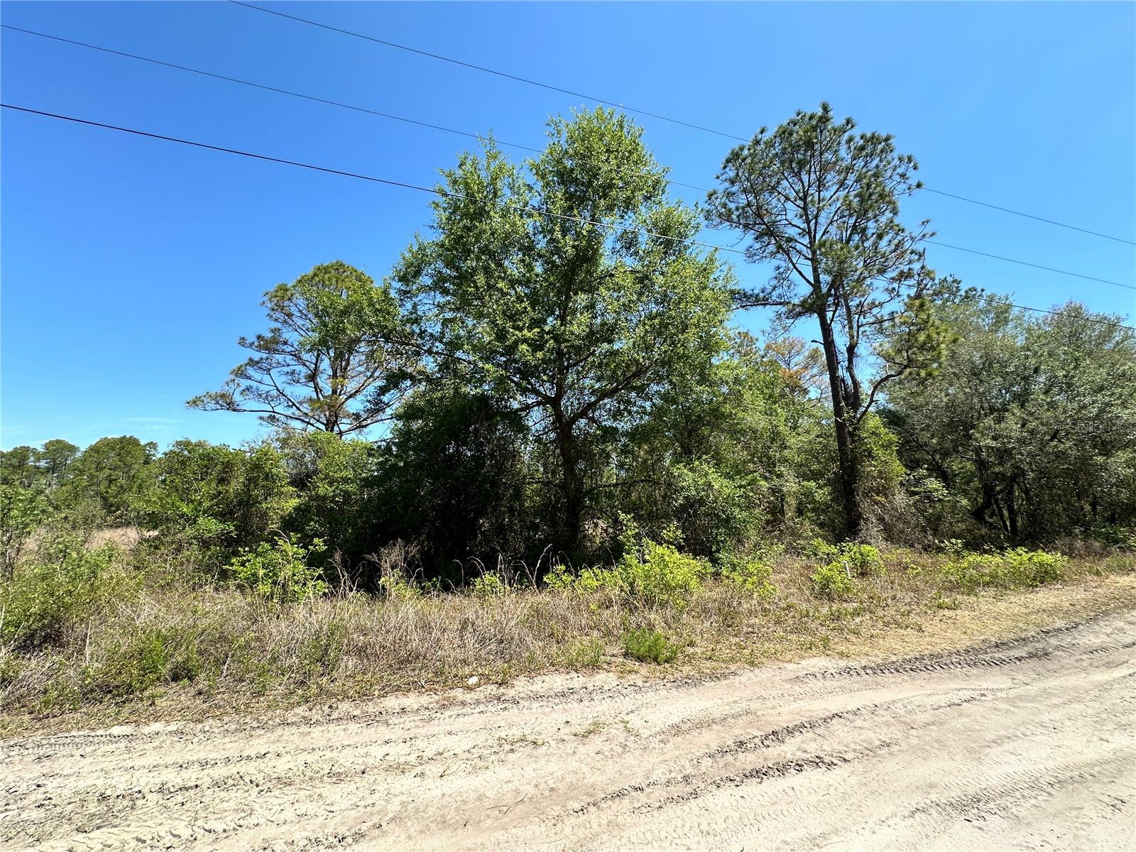 TBD NE 128TH LN, BRONSON, FL — photo 10