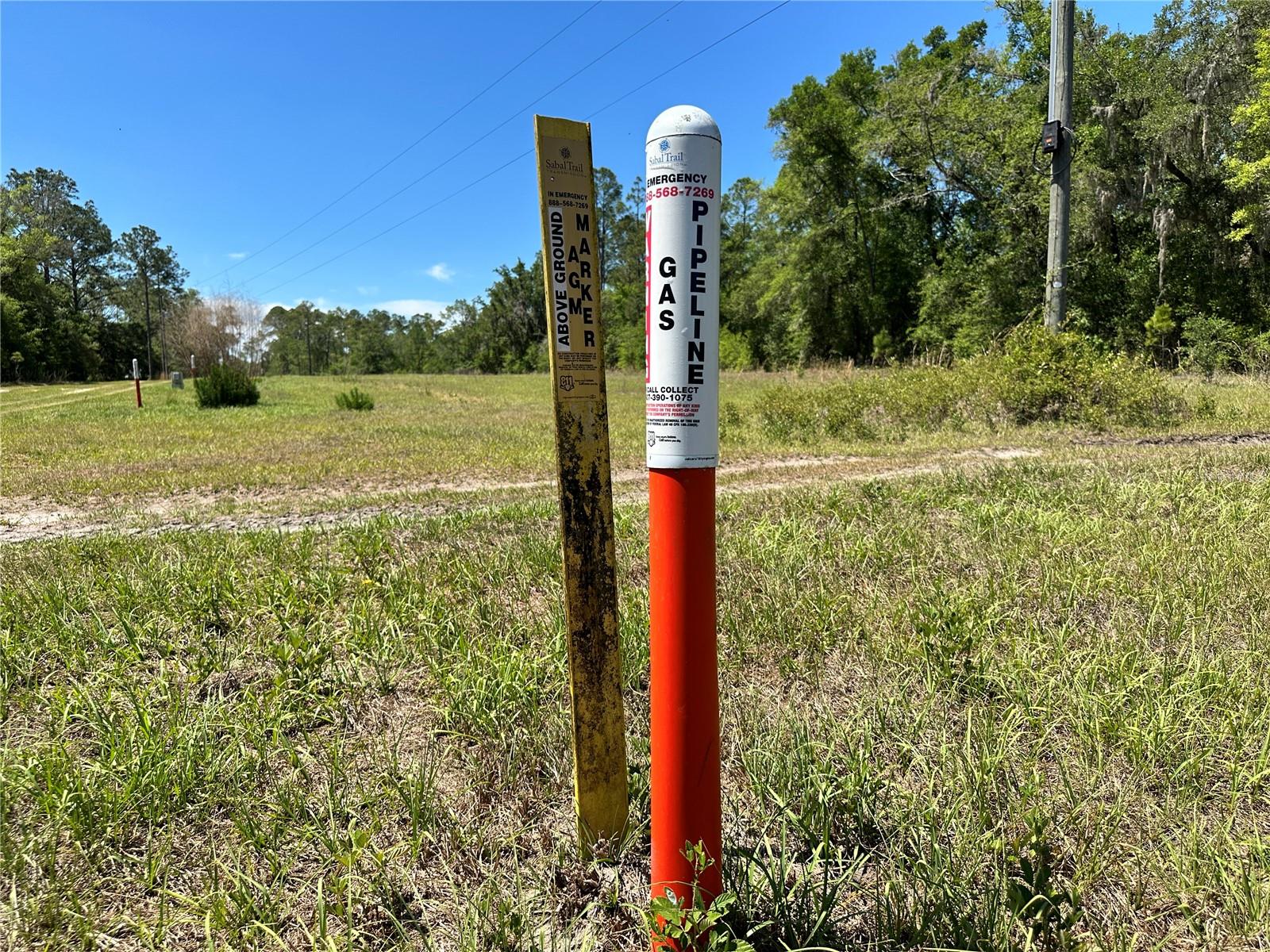 TBD NE 128TH LN, BRONSON, FL — photo 11