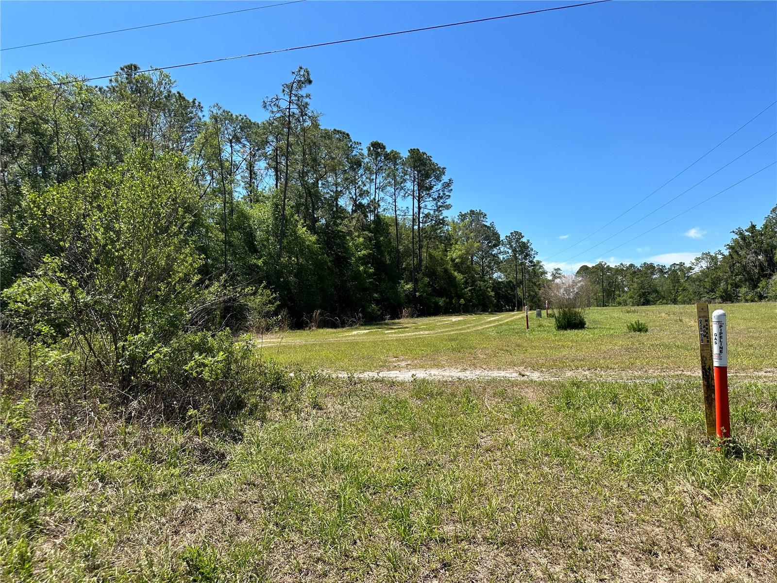 TBD NE 128TH LN, BRONSON, FL — photo 12