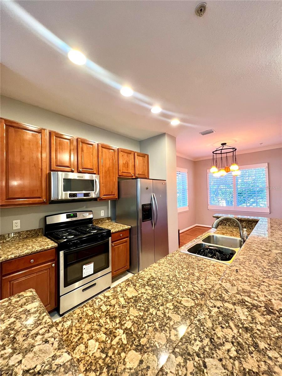 809 HARBOR OAK LN, CLEARWATER, FL — photo 11