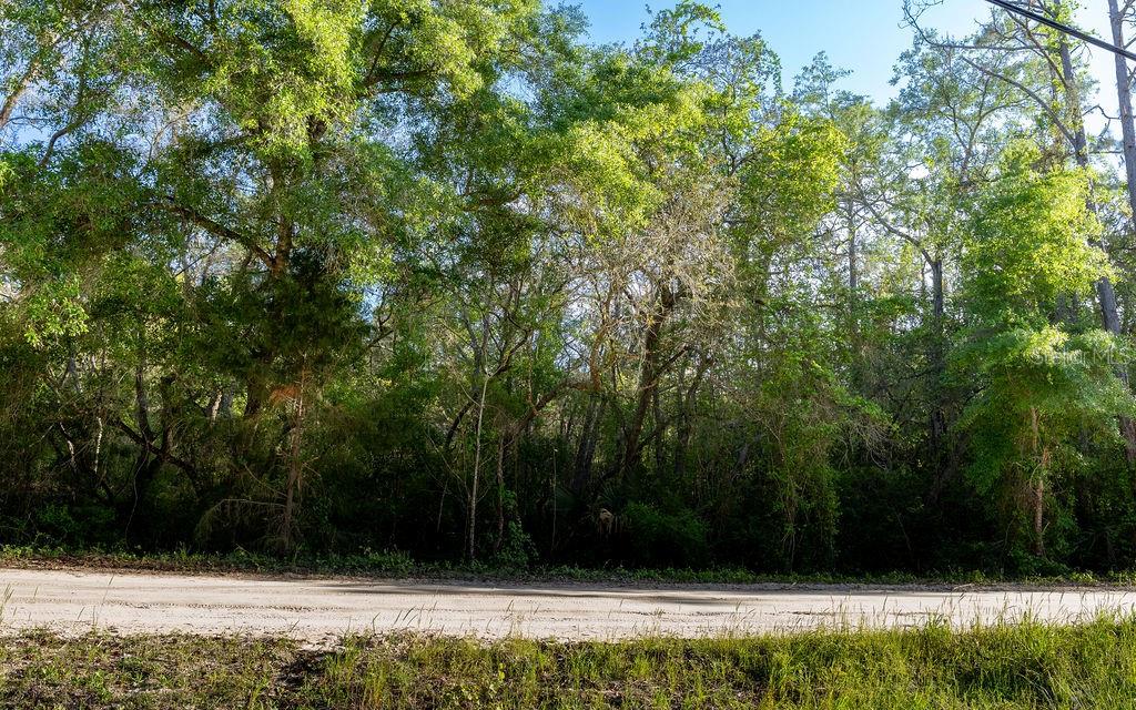 LAKE MAREGARET BLVD, POMONA PARK, FL — photo 3