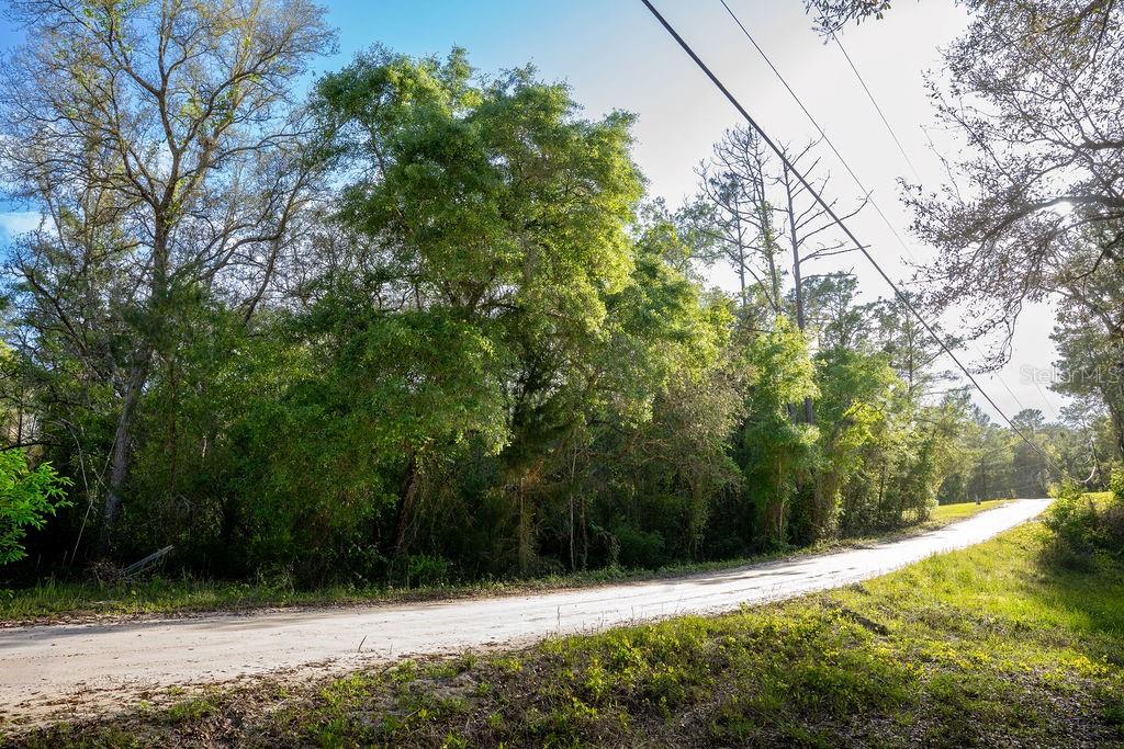 LAKE MAREGARET BLVD, POMONA PARK, FL — photo 4