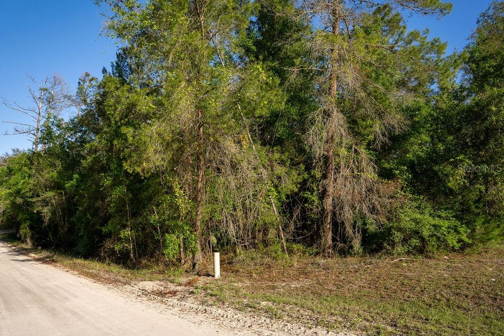 LAKE MAREGARET BLVD, POMONA PARK, FL — photo 5