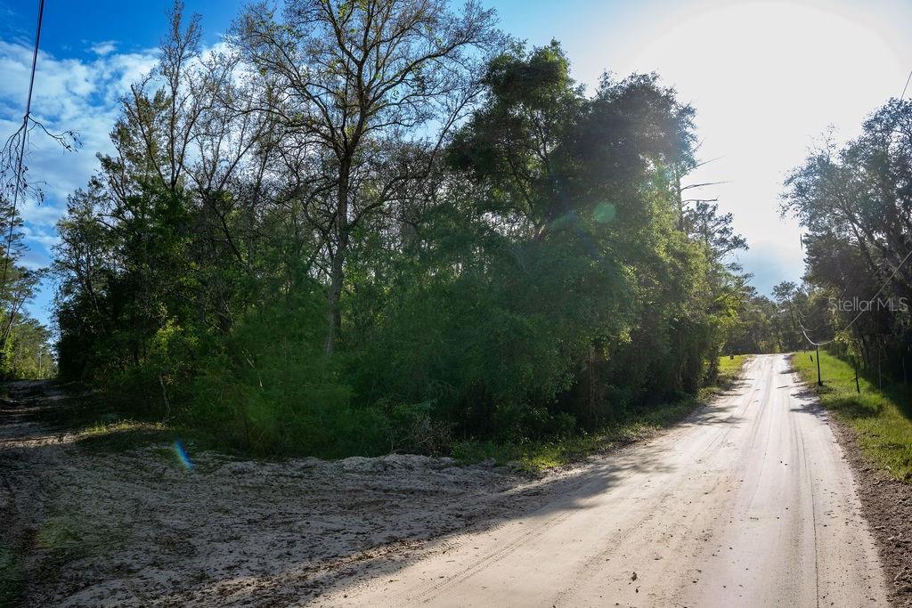 LAKE MAREGARET BLVD, POMONA PARK, FL — photo 6