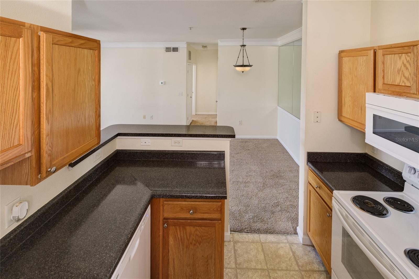 4802 51ST ST W #1015, BRADENTON, FL — photo 19