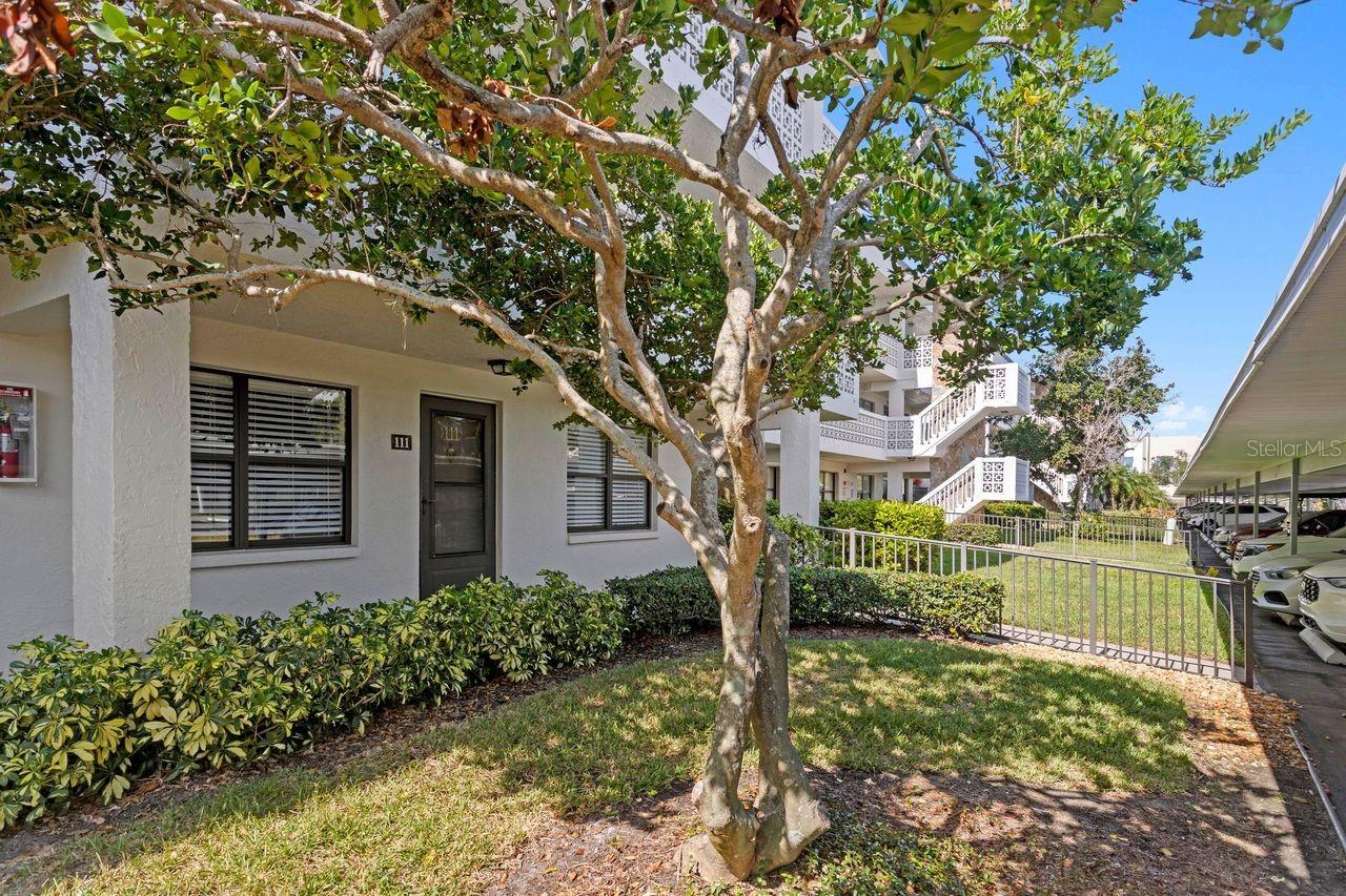 4910 BAY ST NE #111, ST PETERSBURG, FL — photo 2