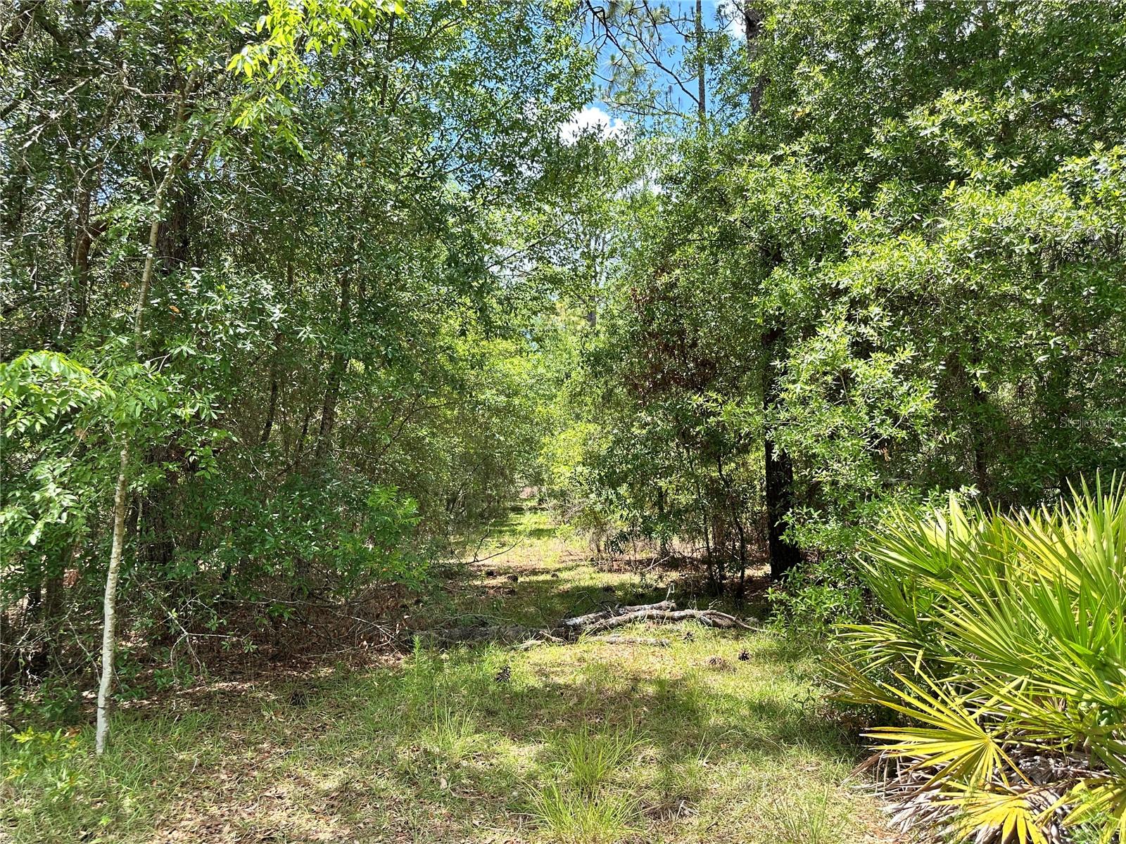 13070 NE 78TH PL, BRONSON, FL