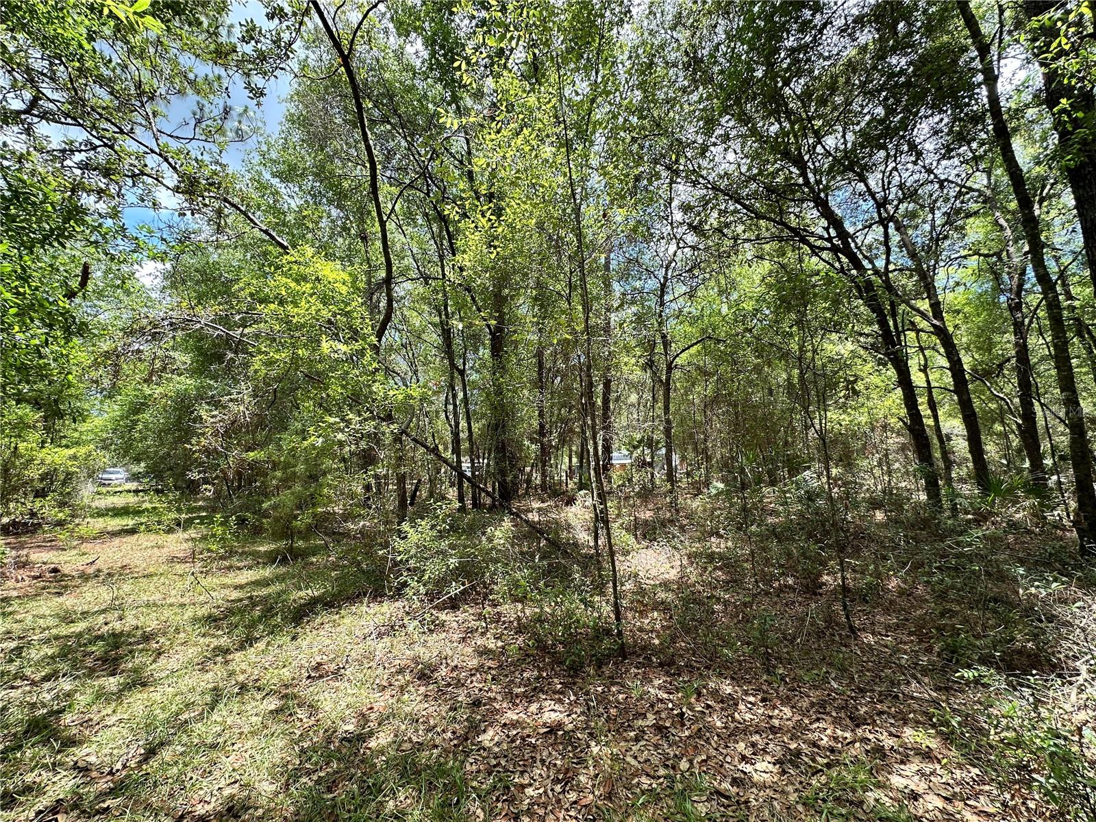 13070 NE 78TH PL, BRONSON, FL — photo 4