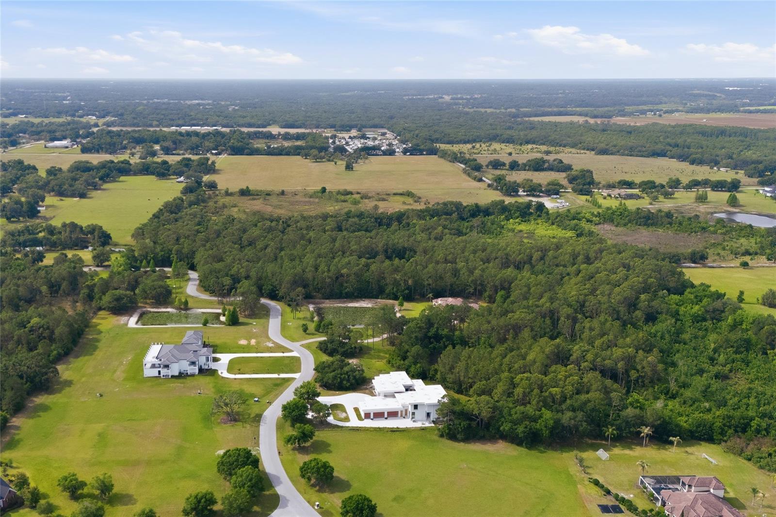 12505 STONELAKE RANCH BLVD, THONOTOSASSA, FL — photo 46