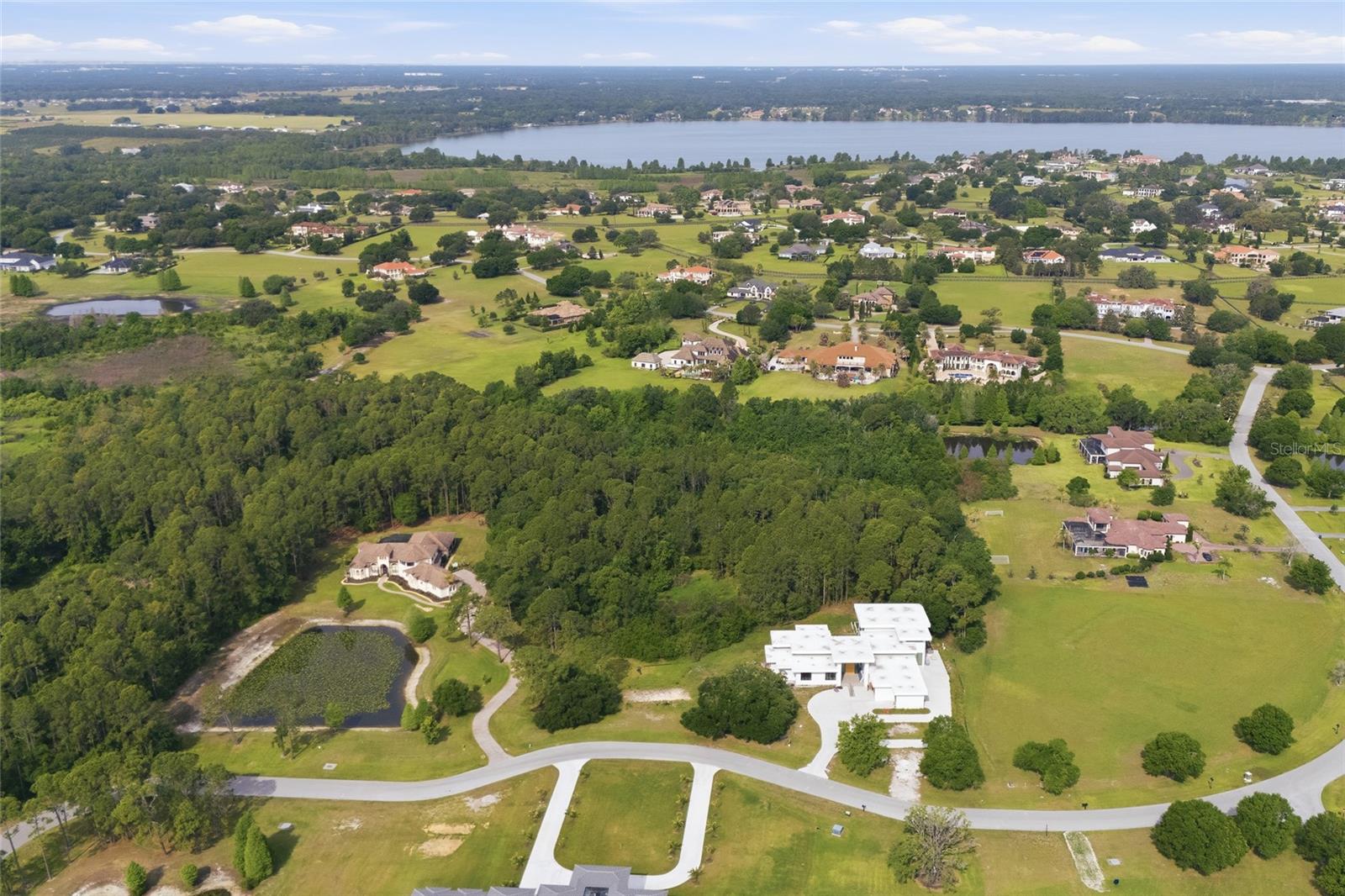 12505 STONELAKE RANCH BLVD, THONOTOSASSA, FL — photo 48