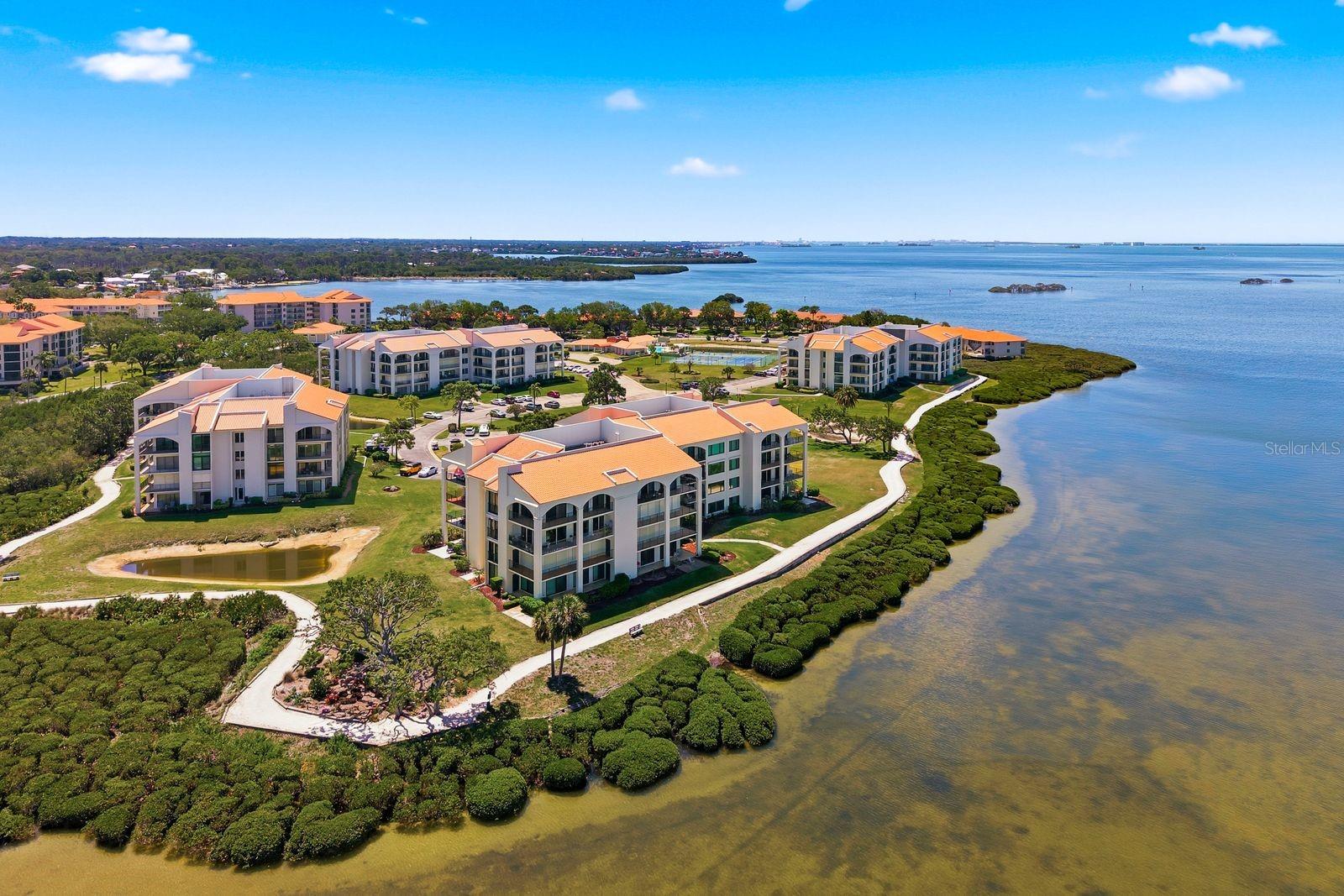 302 MARINER DR #302, TARPON SPRINGS, FL — photo 51