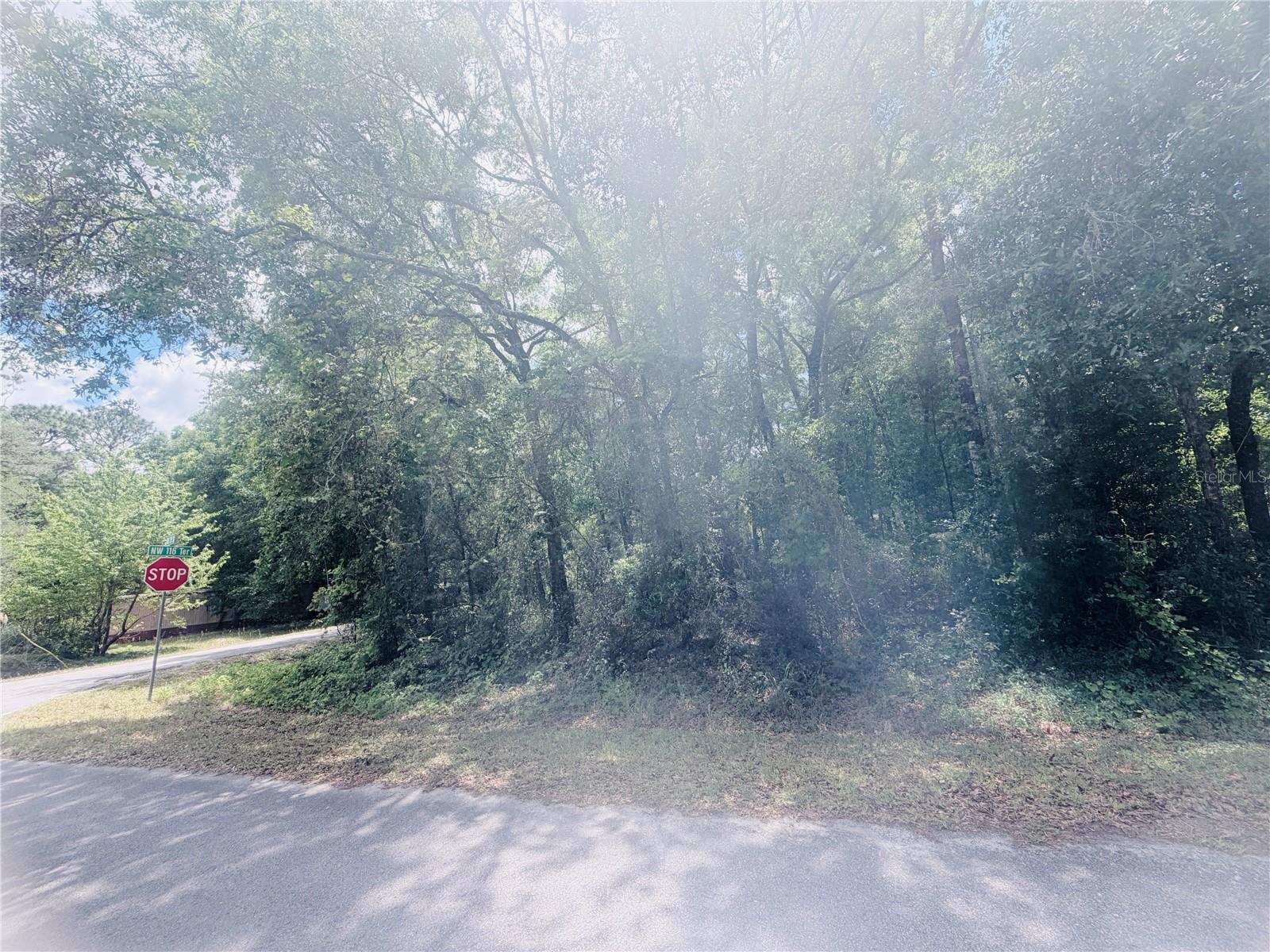 TBD NW 20TH ST, OCALA, FL — photo 2