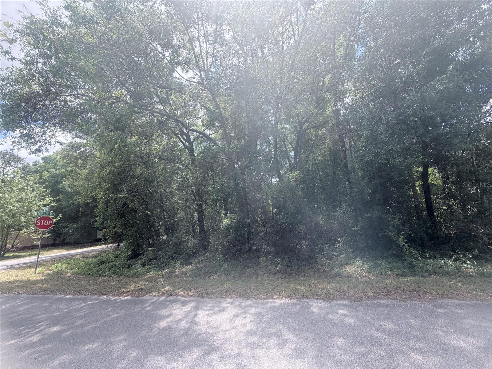 TBD NW 20TH ST, OCALA, FL — photo 3