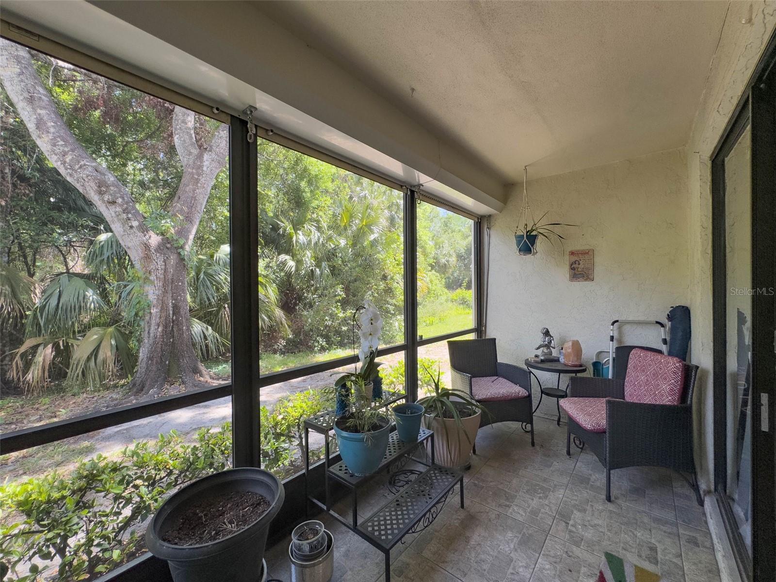 3188 LAKE PINE WAY S #B1, TARPON SPRINGS, FL — photo 7