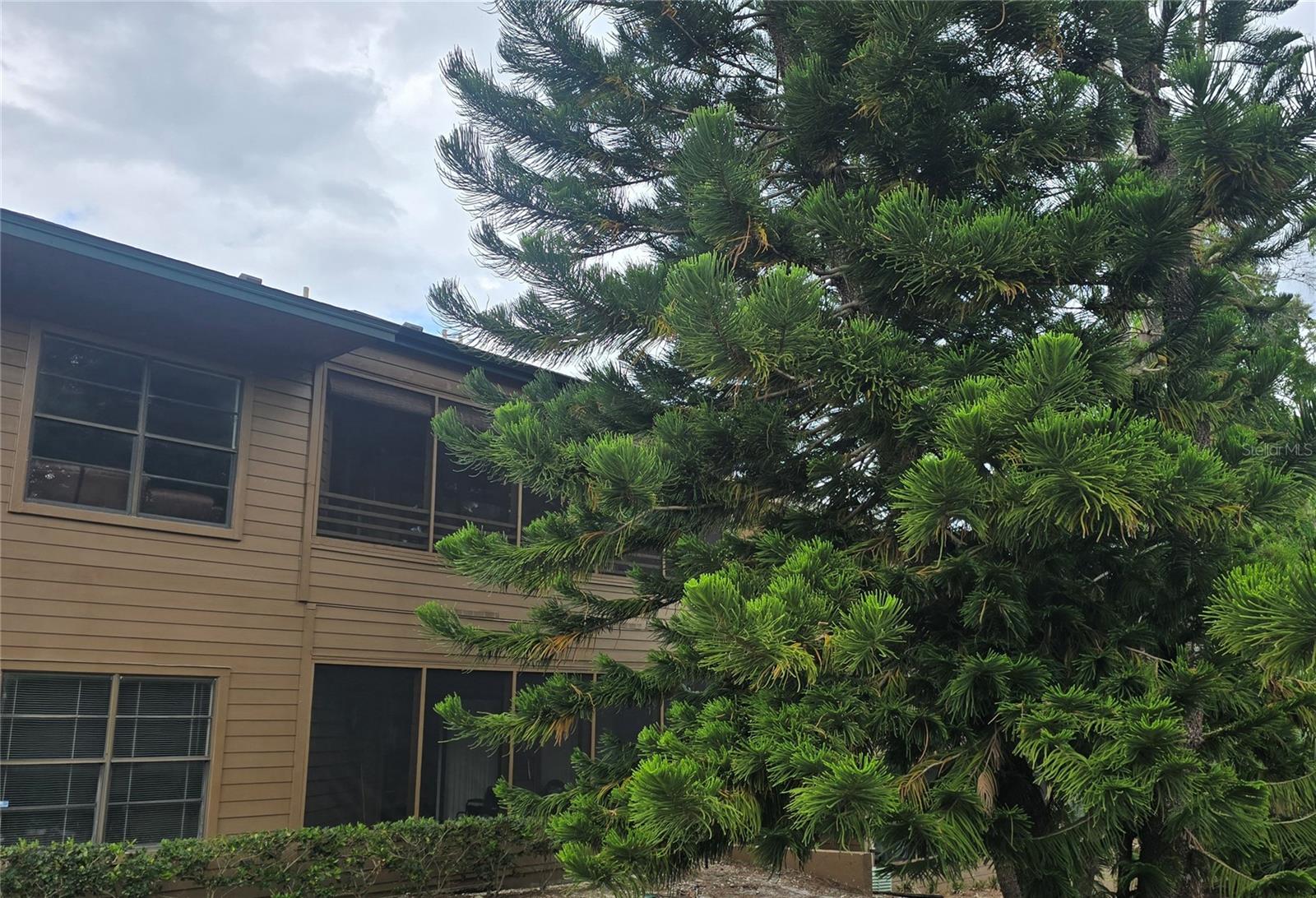 406 LENNOX RD W, PALM HARBOR, FL
