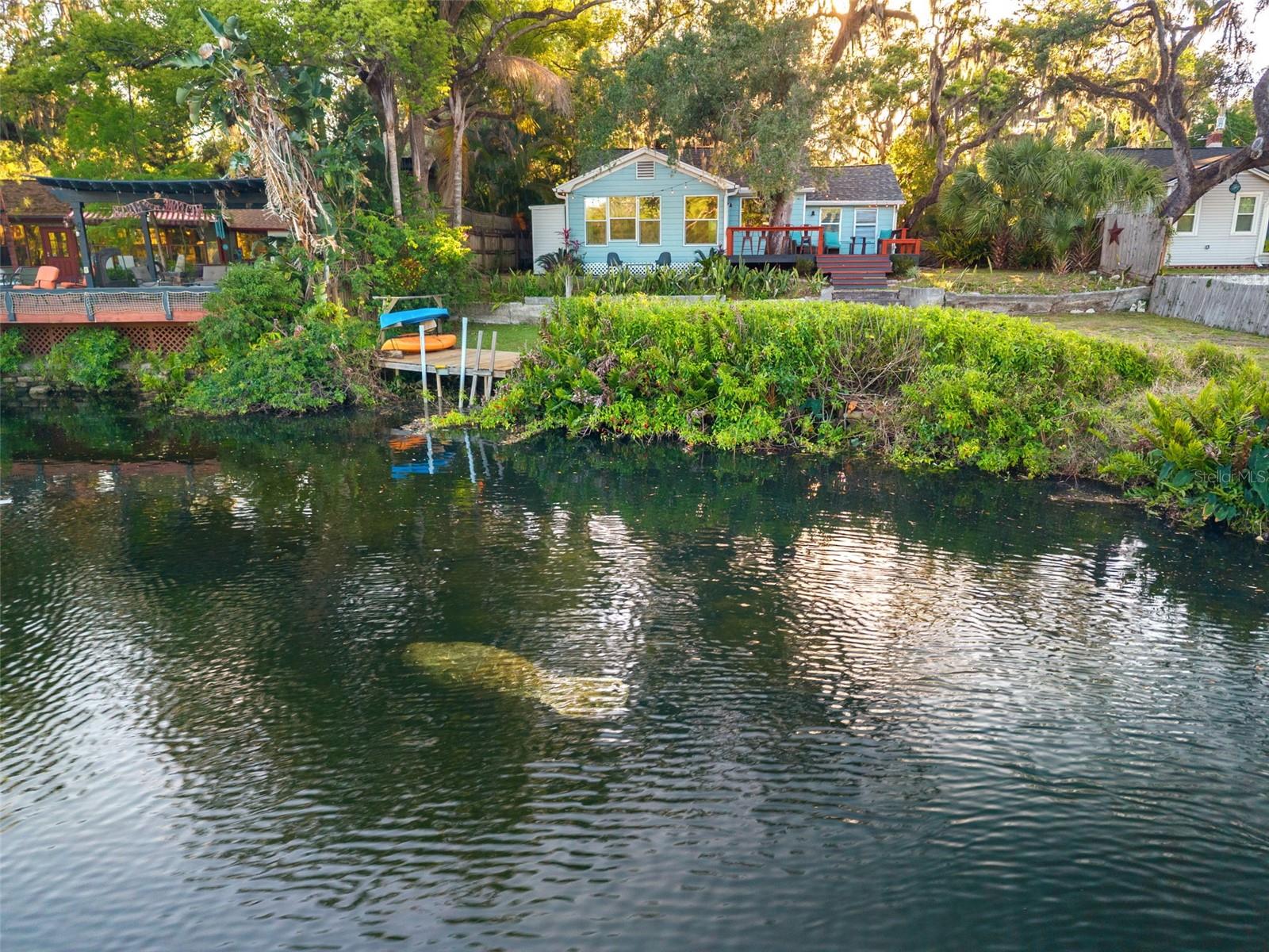 1502 E PARK CIR, TAMPA, FL — photo 4