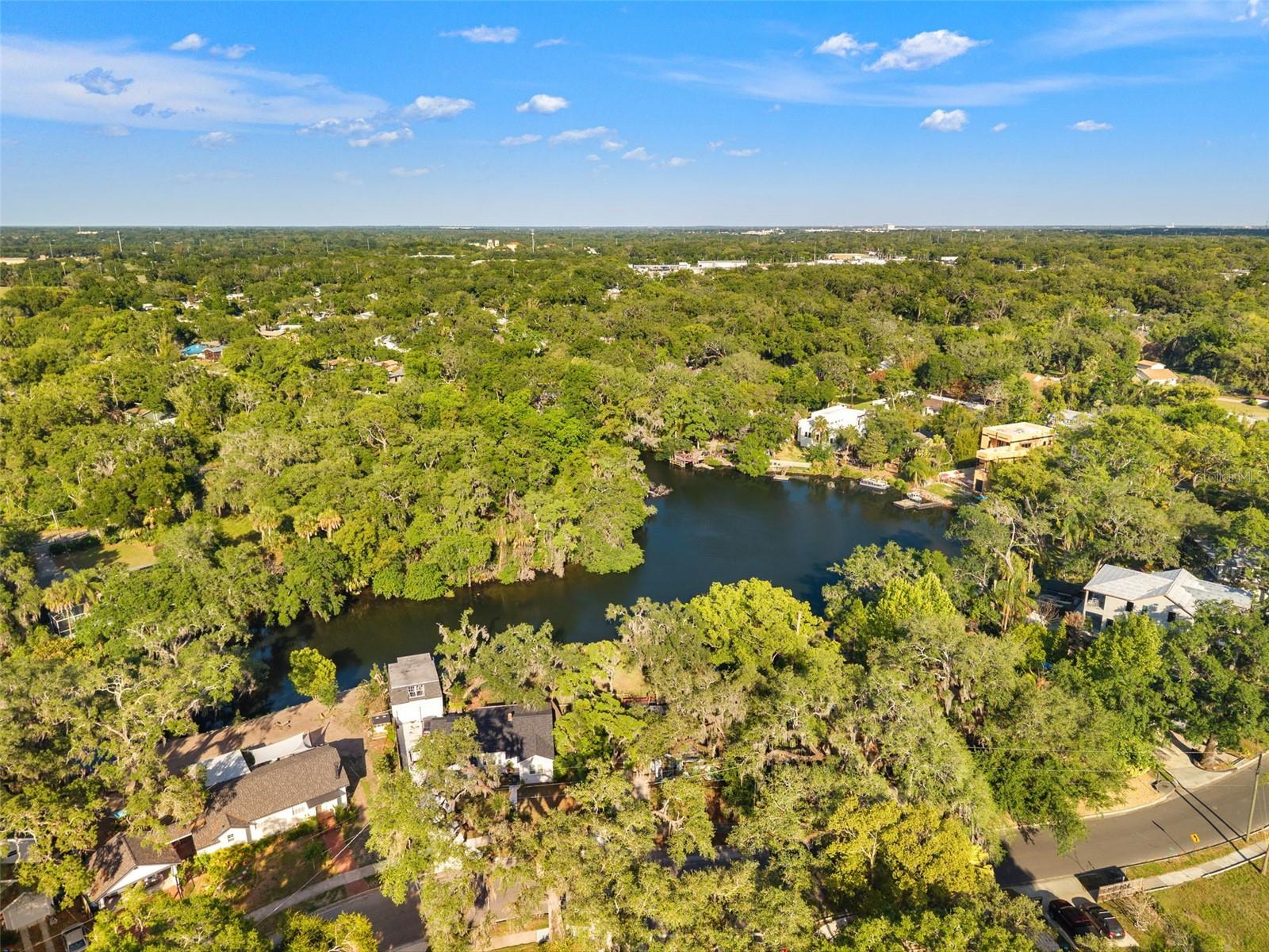 1502 E PARK CIR, TAMPA, FL — photo 48