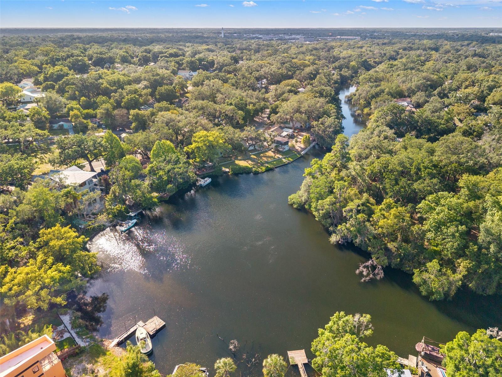 1502 E PARK CIR, TAMPA, FL — photo 49