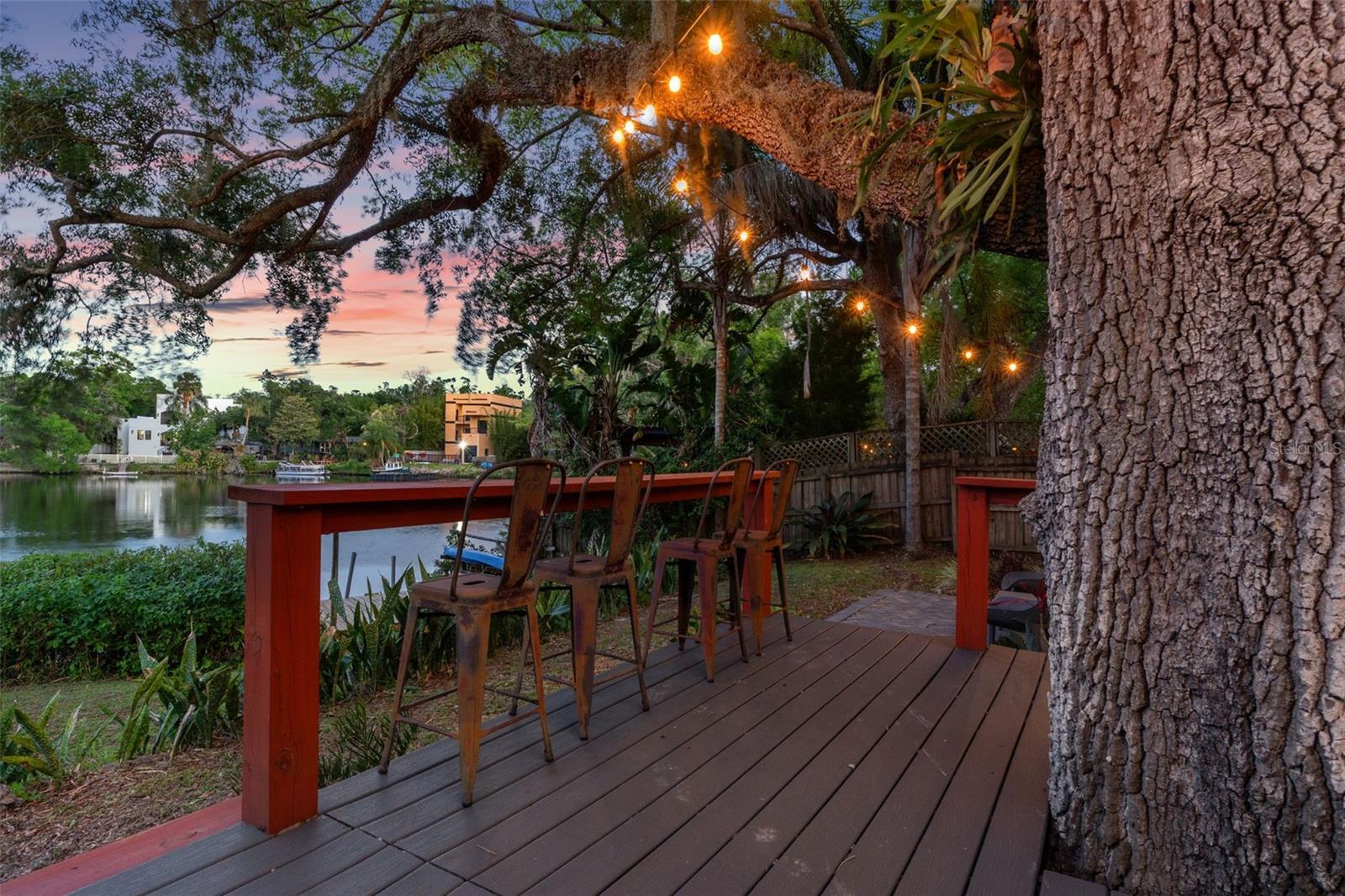 1502 E PARK CIR, TAMPA, FL — photo 58