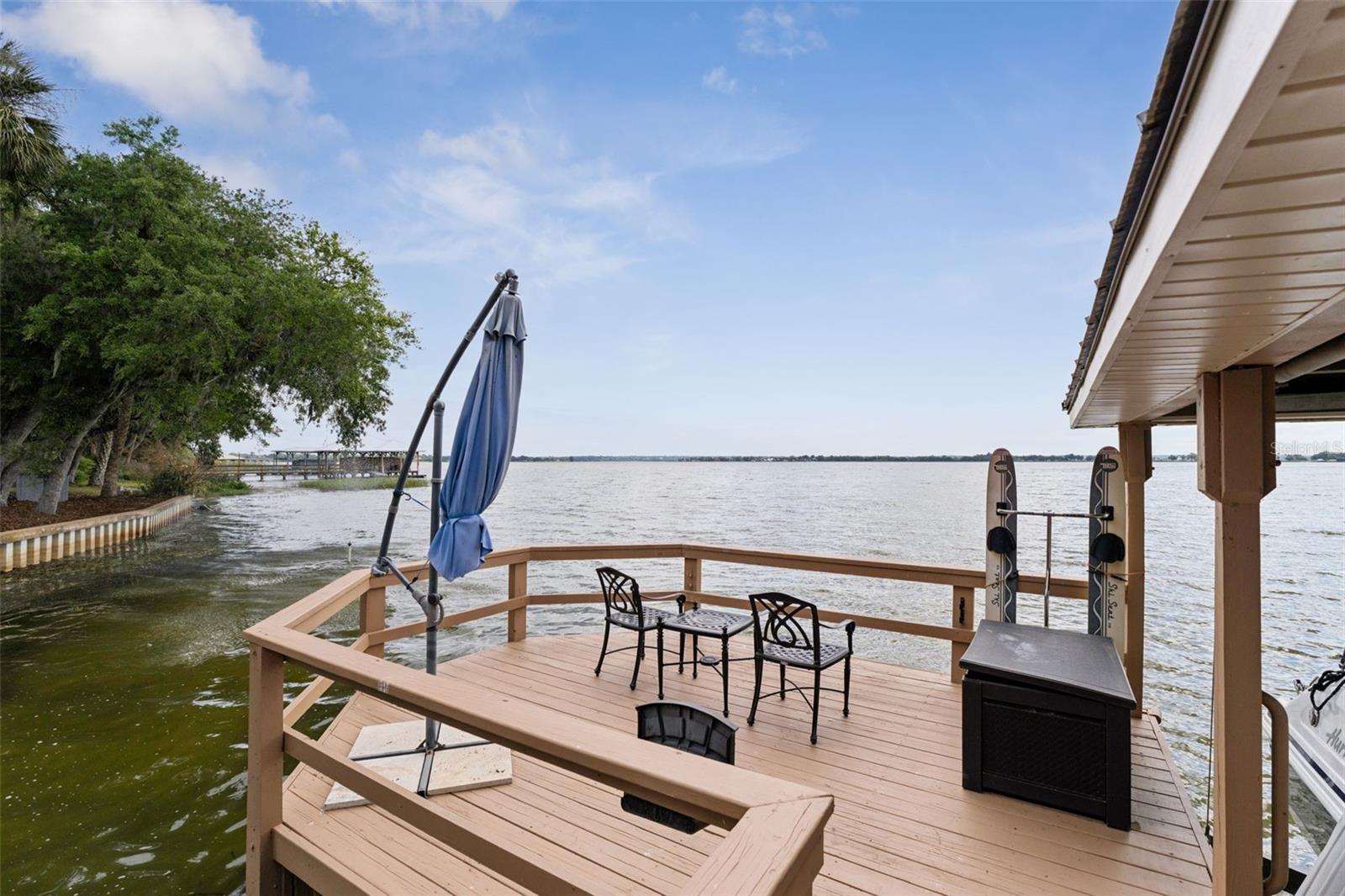 29650 SQUIRREL POINT RD, TAVARES, FL — photo 130