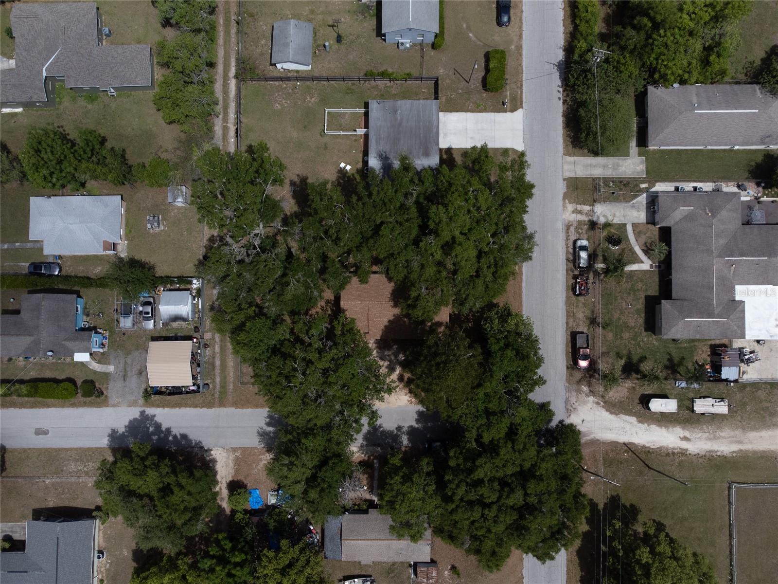 14341 DELMAR ST, DADE CITY, FL — photo 29