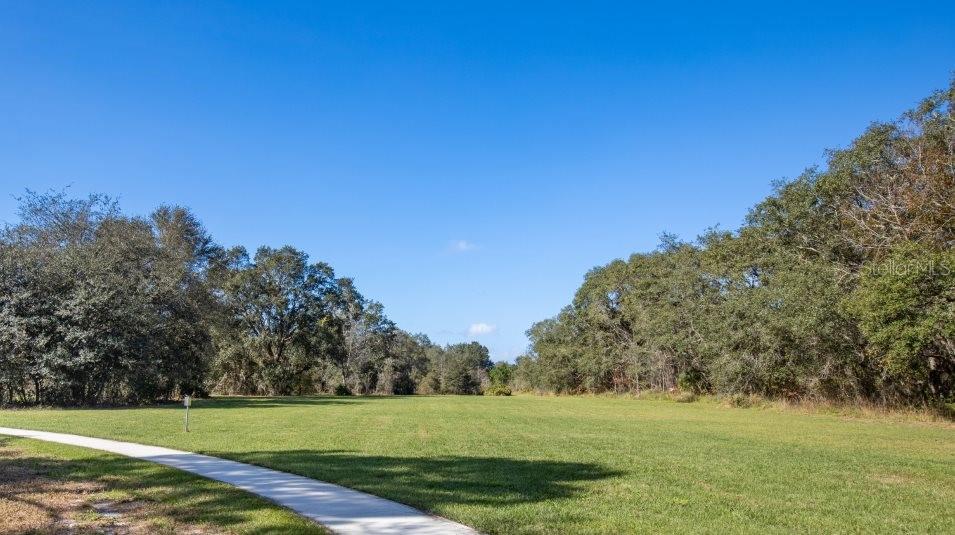 1363 BLUE ASH LN, DELAND, FL — photo 24