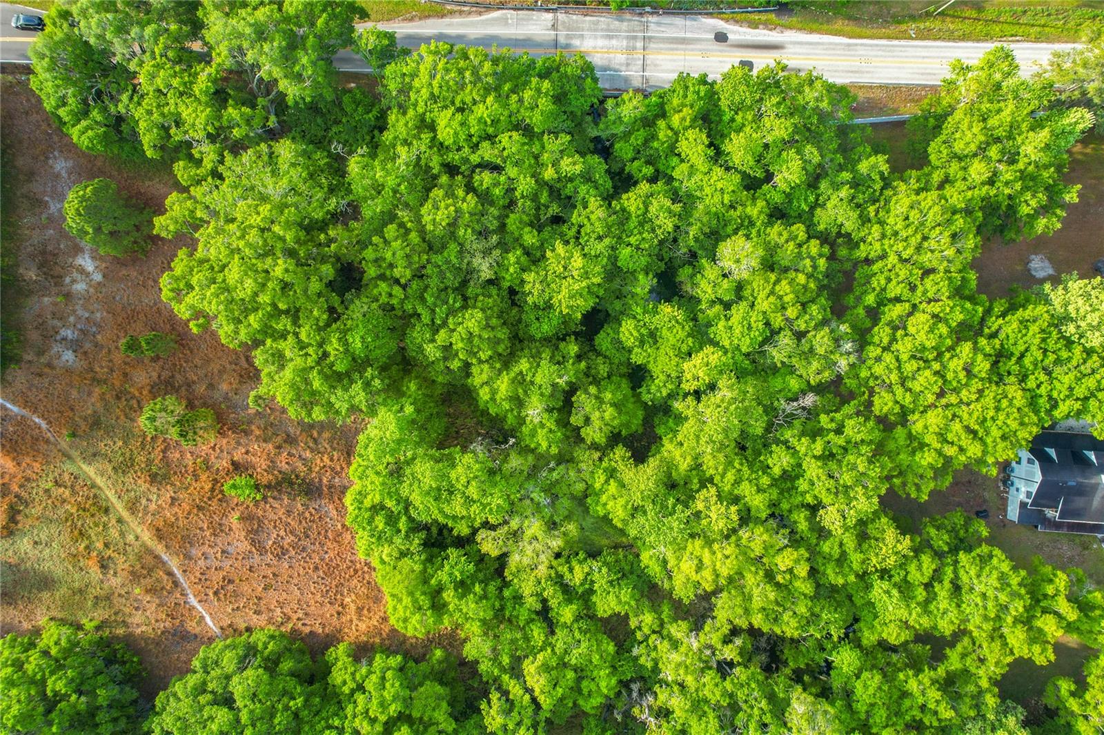 1225 DUFF RD, LAKELAND, FL — photo 28