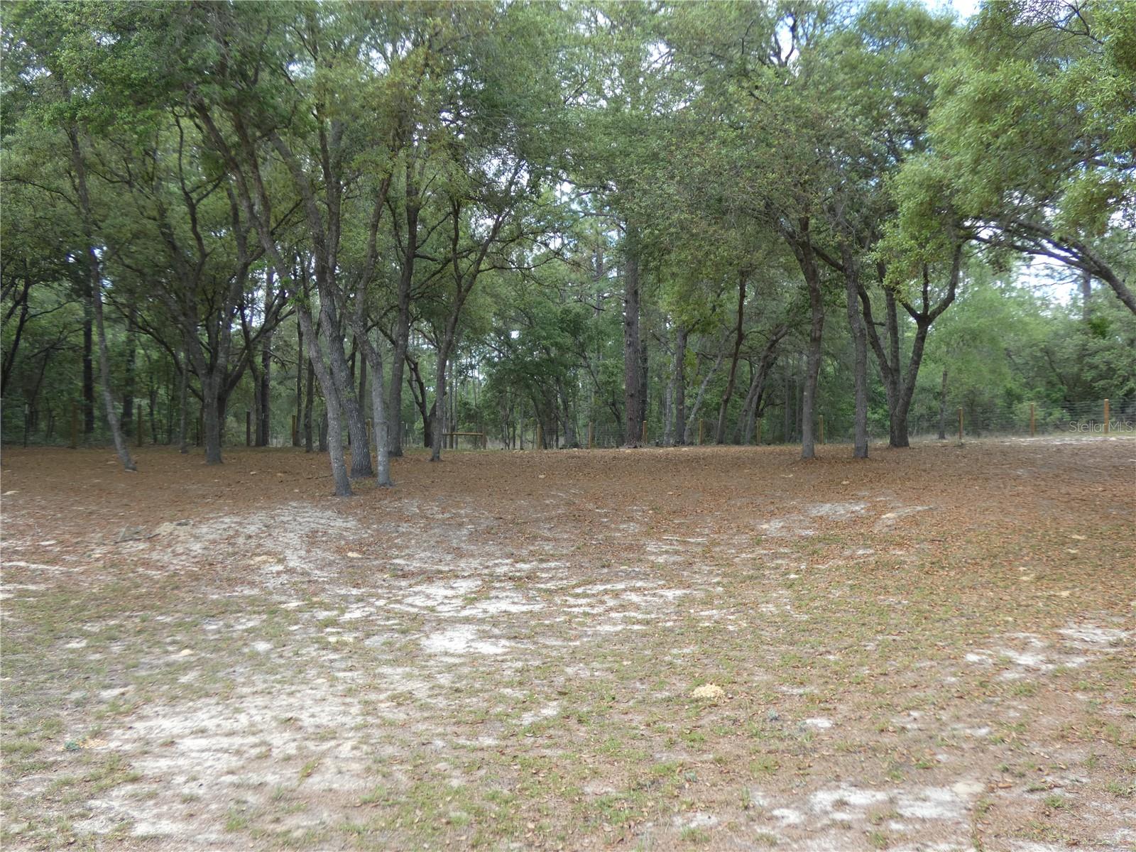 20865 SW 70TH ST, DUNNELLON, FL — photo 6