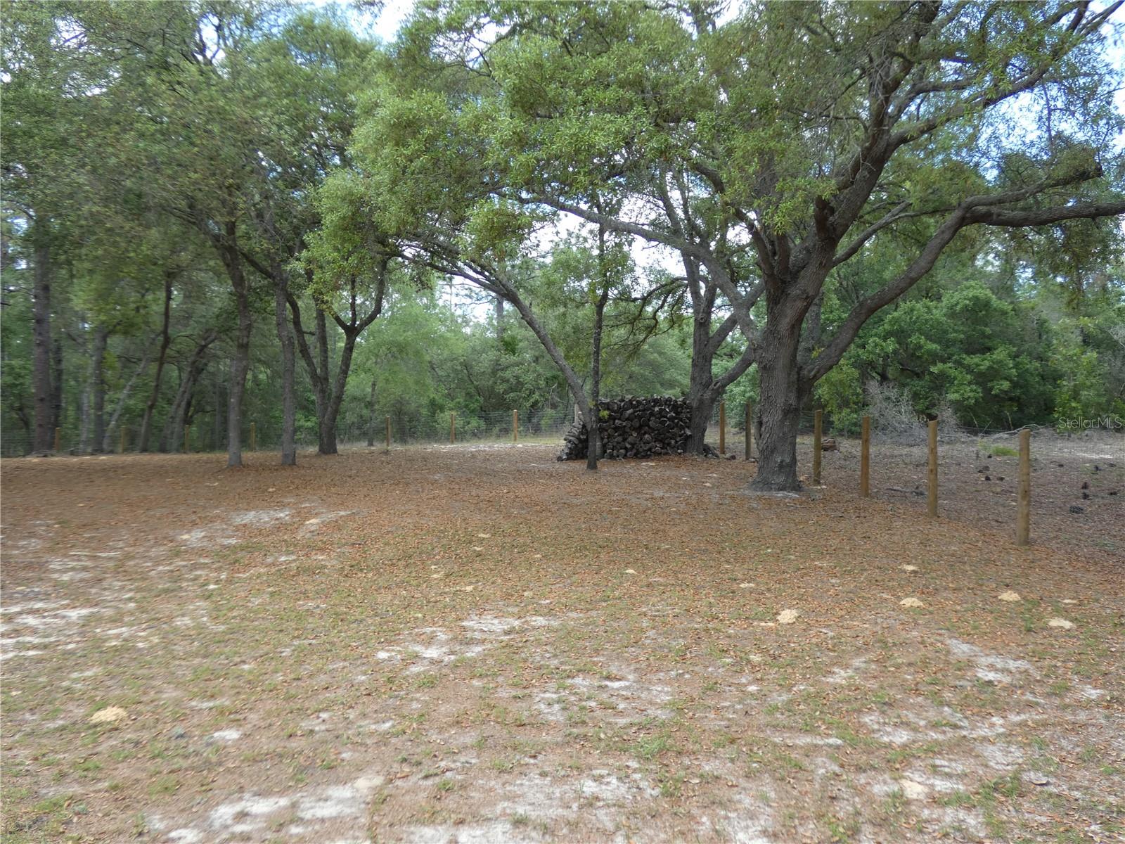 20865 SW 70TH ST, DUNNELLON, FL — photo 7