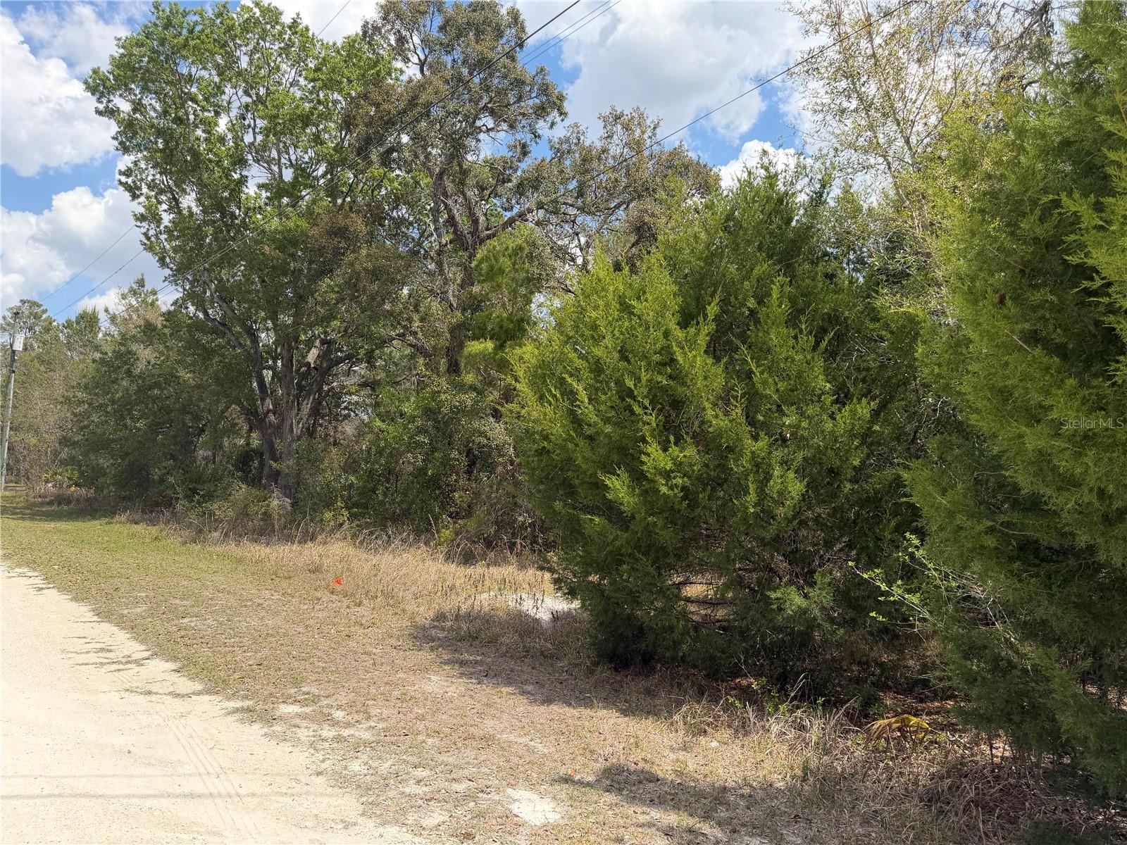 0 BASTIAN CT, WEEKI WACHEE, FL — photo 3