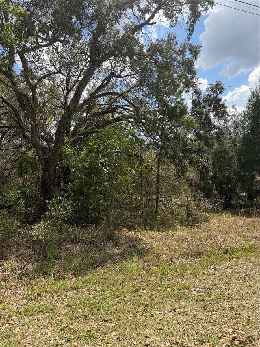 0 BASTIAN CT, WEEKI WACHEE, FL — photo 4