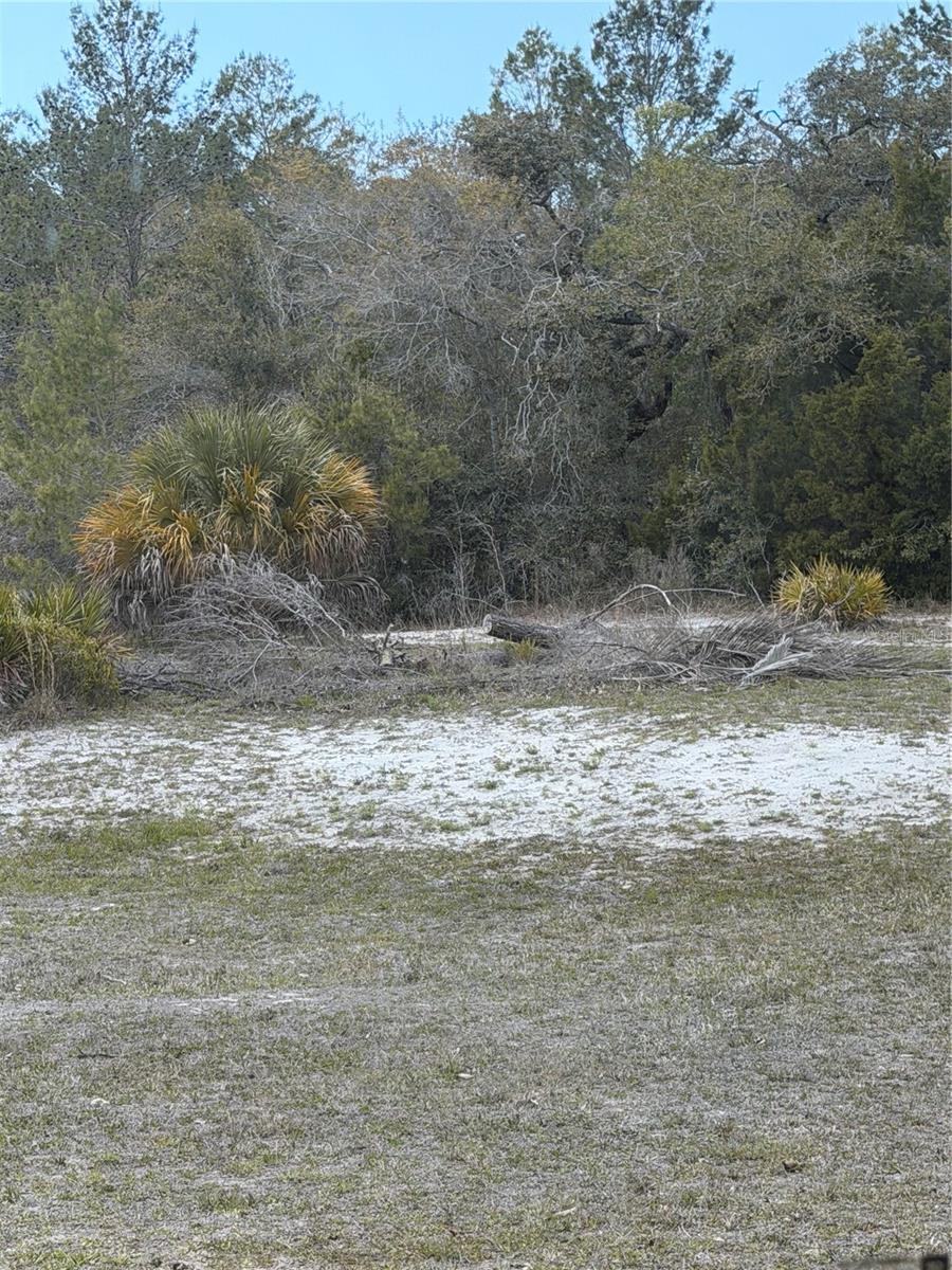 0 BASTIAN CT, WEEKI WACHEE, FL — photo 5
