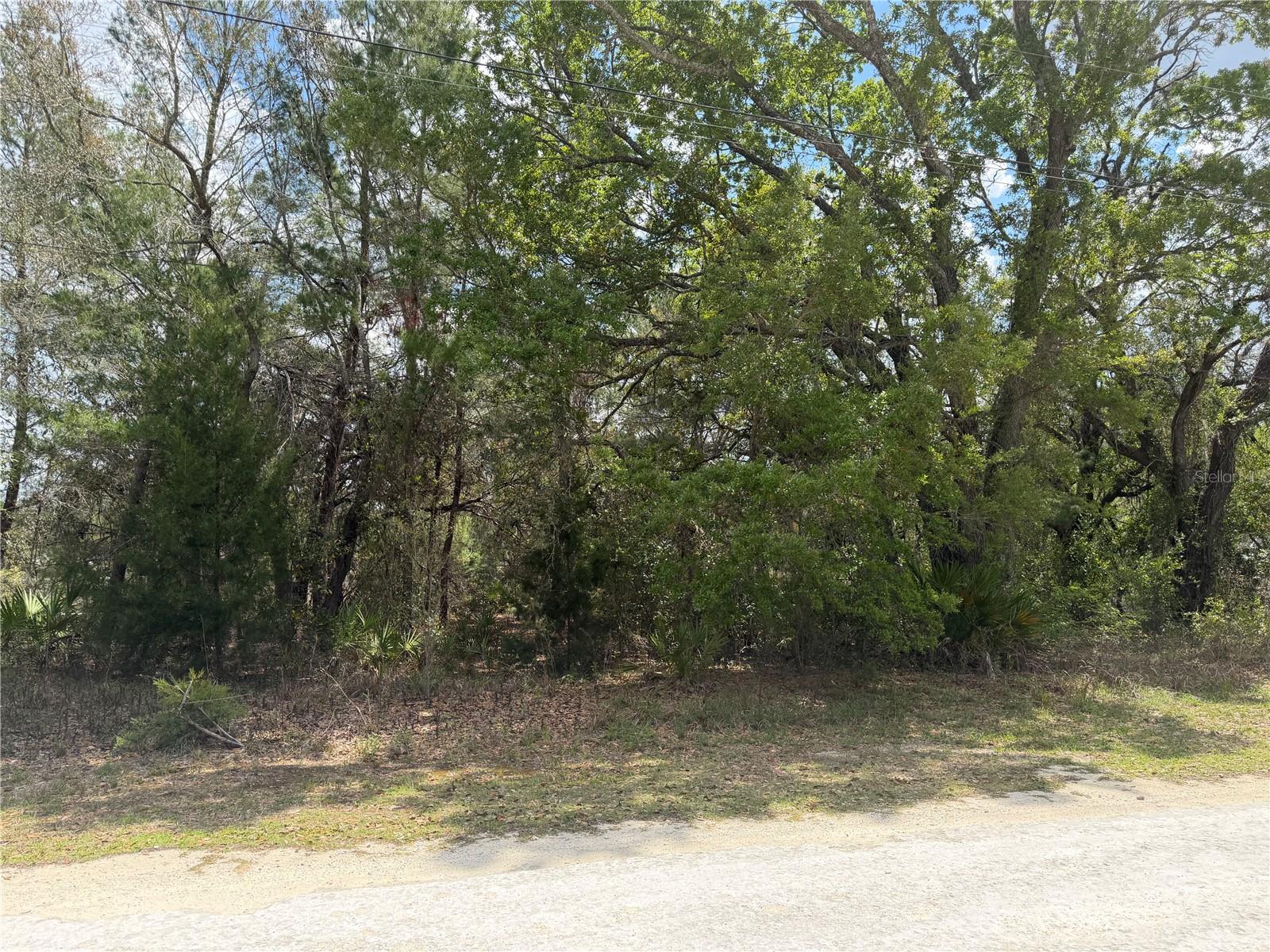 0 BASTIAN CT, WEEKI WACHEE, FL — photo 6