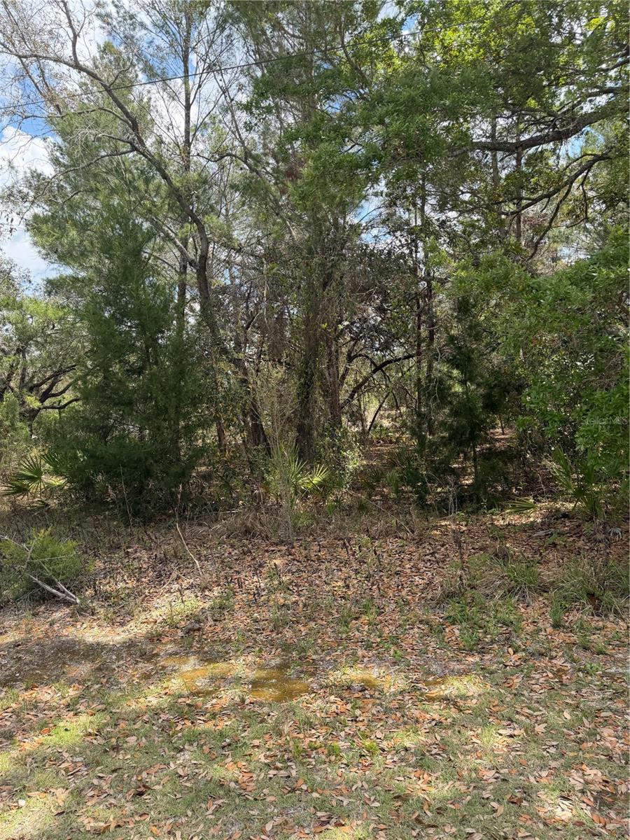 0 BASTIAN CT, WEEKI WACHEE, FL — photo 7