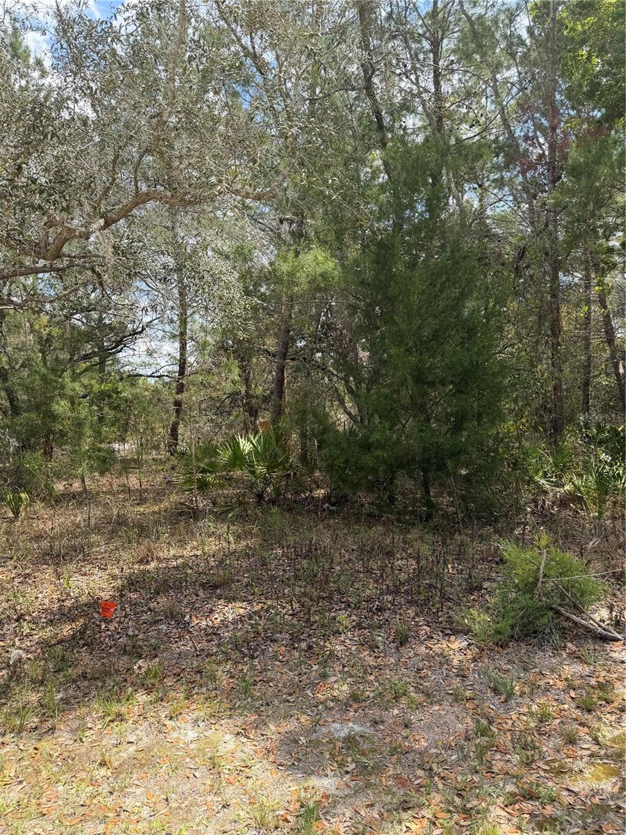 0 BASTIAN CT, WEEKI WACHEE, FL — photo 8