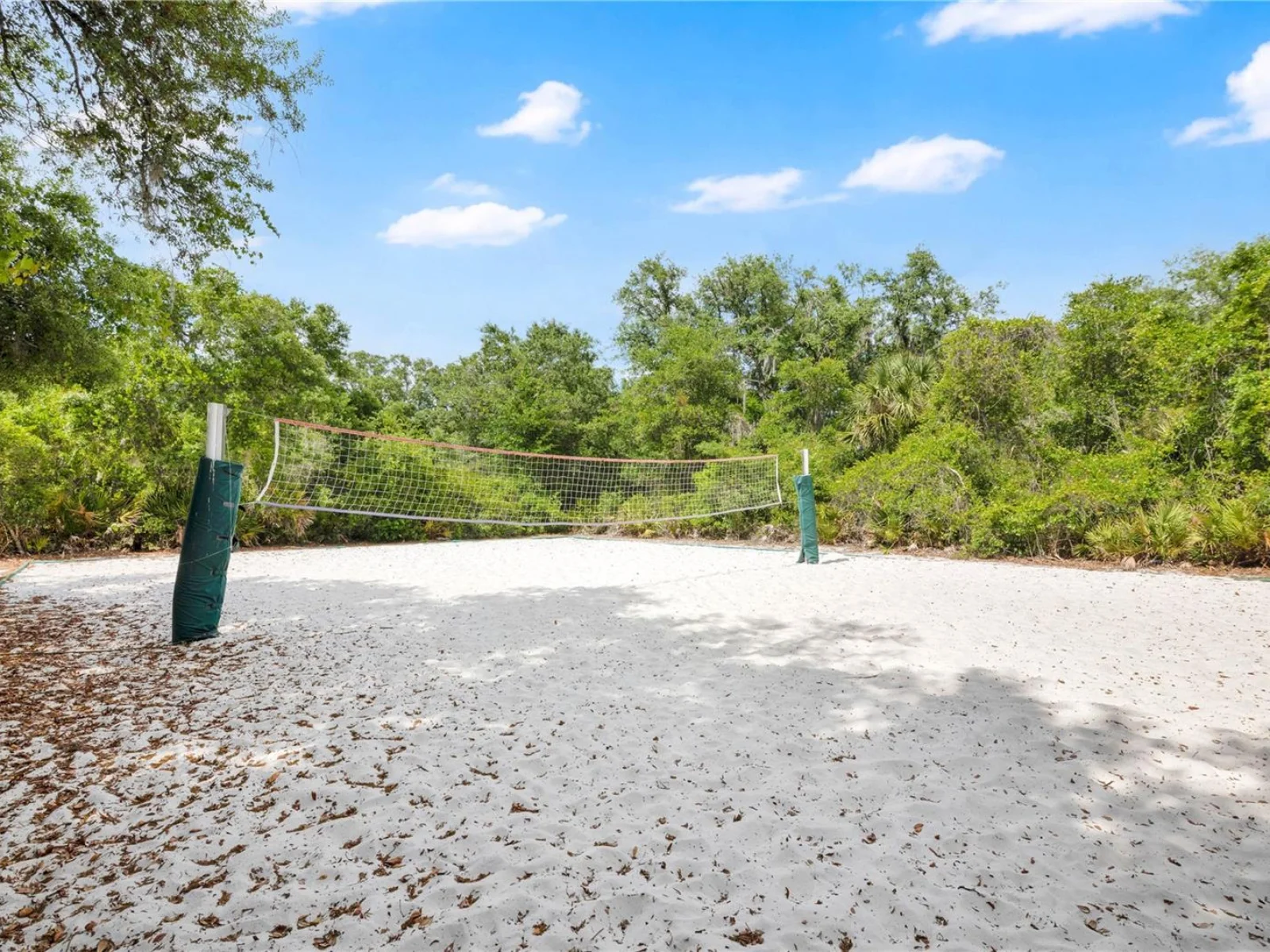 16467 GLASSY LOCH LOOP, CLERMONT, FL — photo 42