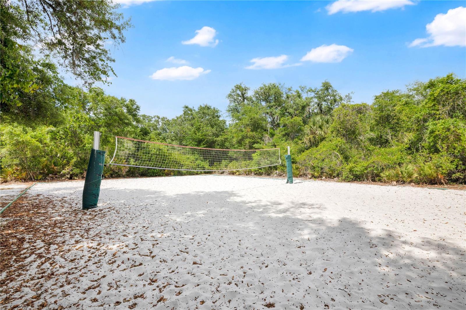 16467 GLASSY LOCH LOOP, CLERMONT, FL — photo 41