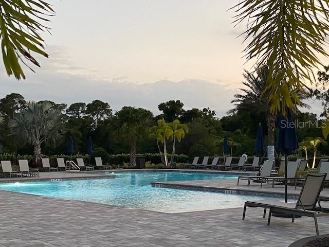 6111 BLUESTAR CT, BRADENTON, FL — photo 53