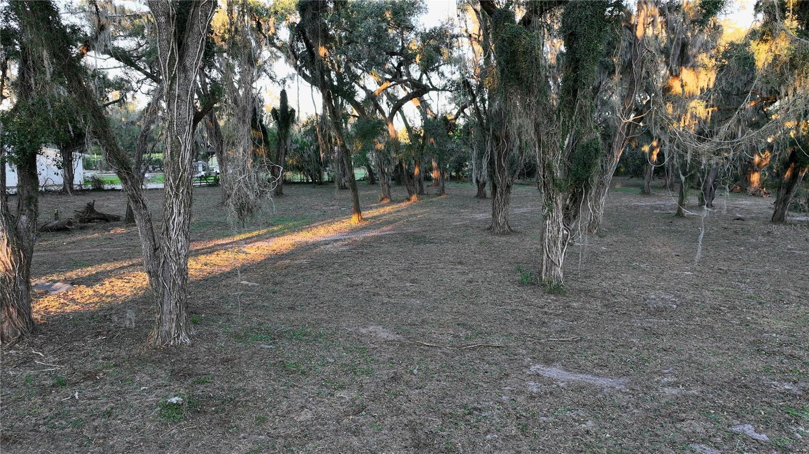 MUCK POND RD, SEFFNER, FL — photo 6