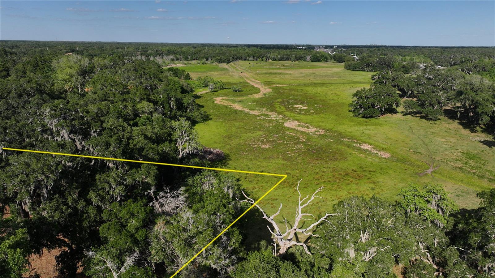 MUCK POND RD, SEFFNER, FL — photo 3