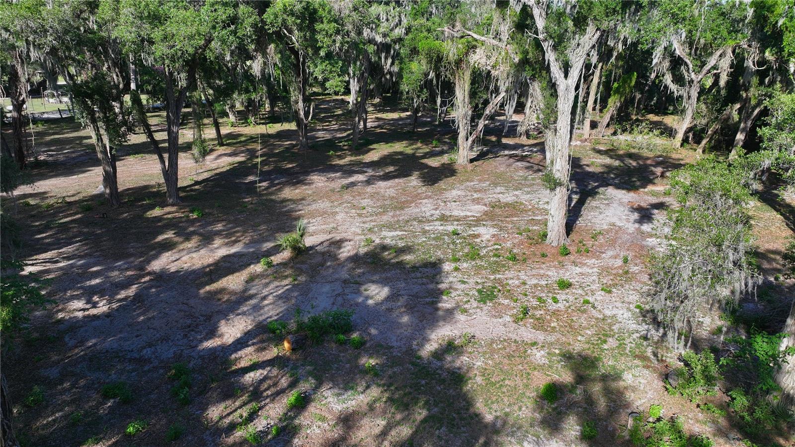 MUCK POND RD, SEFFNER, FL — photo 11