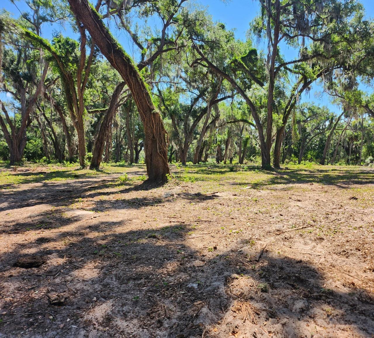 MUCK POND RD, SEFFNER, FL — photo 14