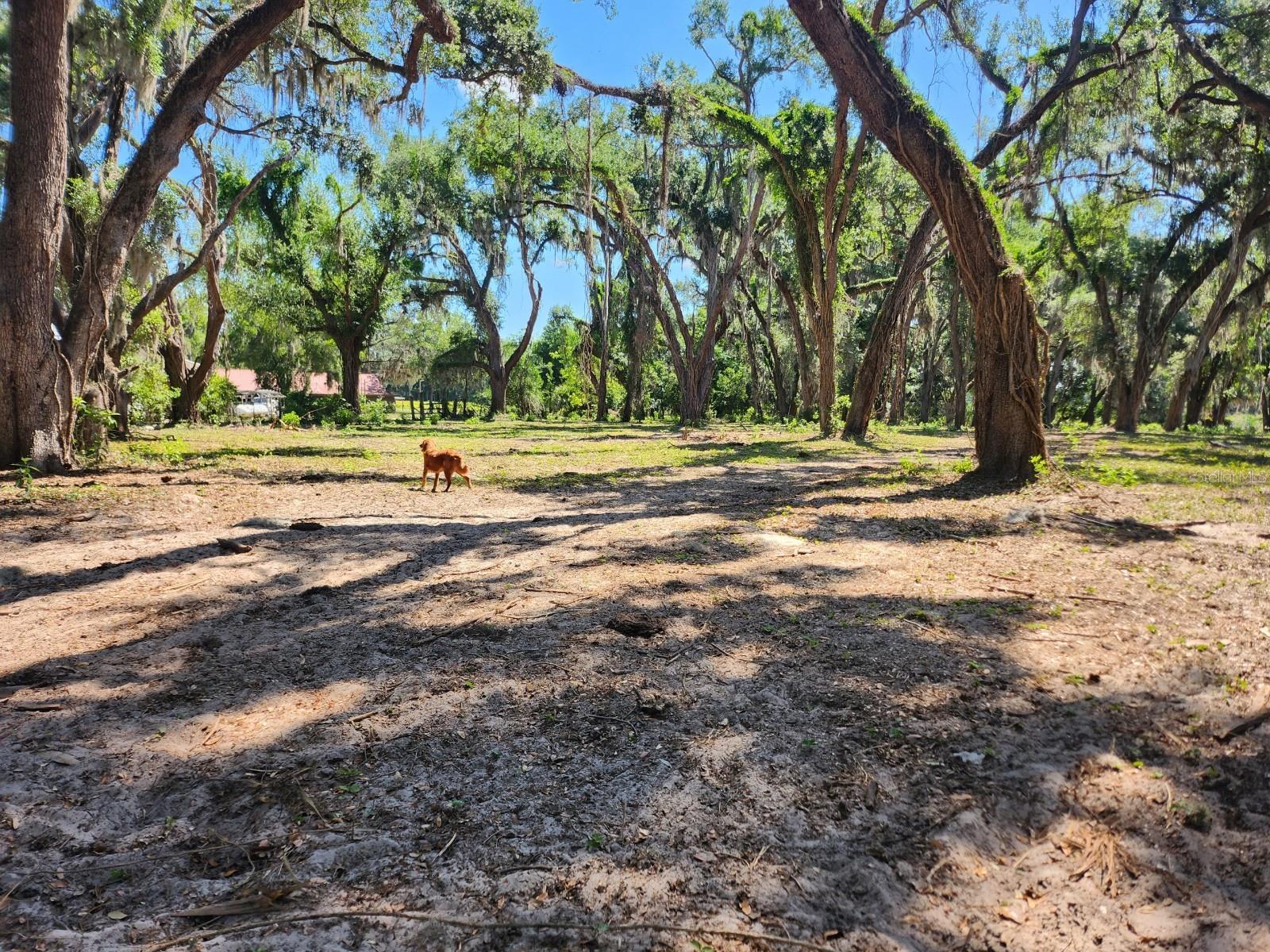 MUCK POND RD, SEFFNER, FL