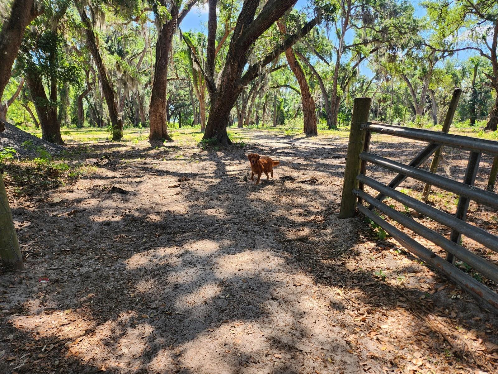 MUCK POND RD, SEFFNER, FL — photo 13