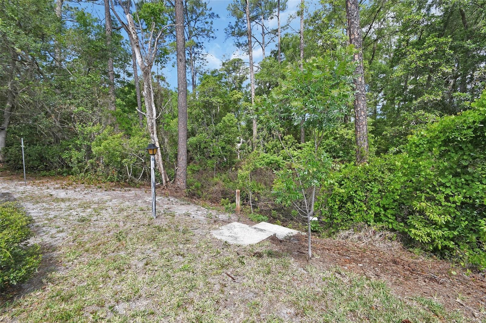 25801 BLUE LAKES DR, PAISLEY, FL — photo 46