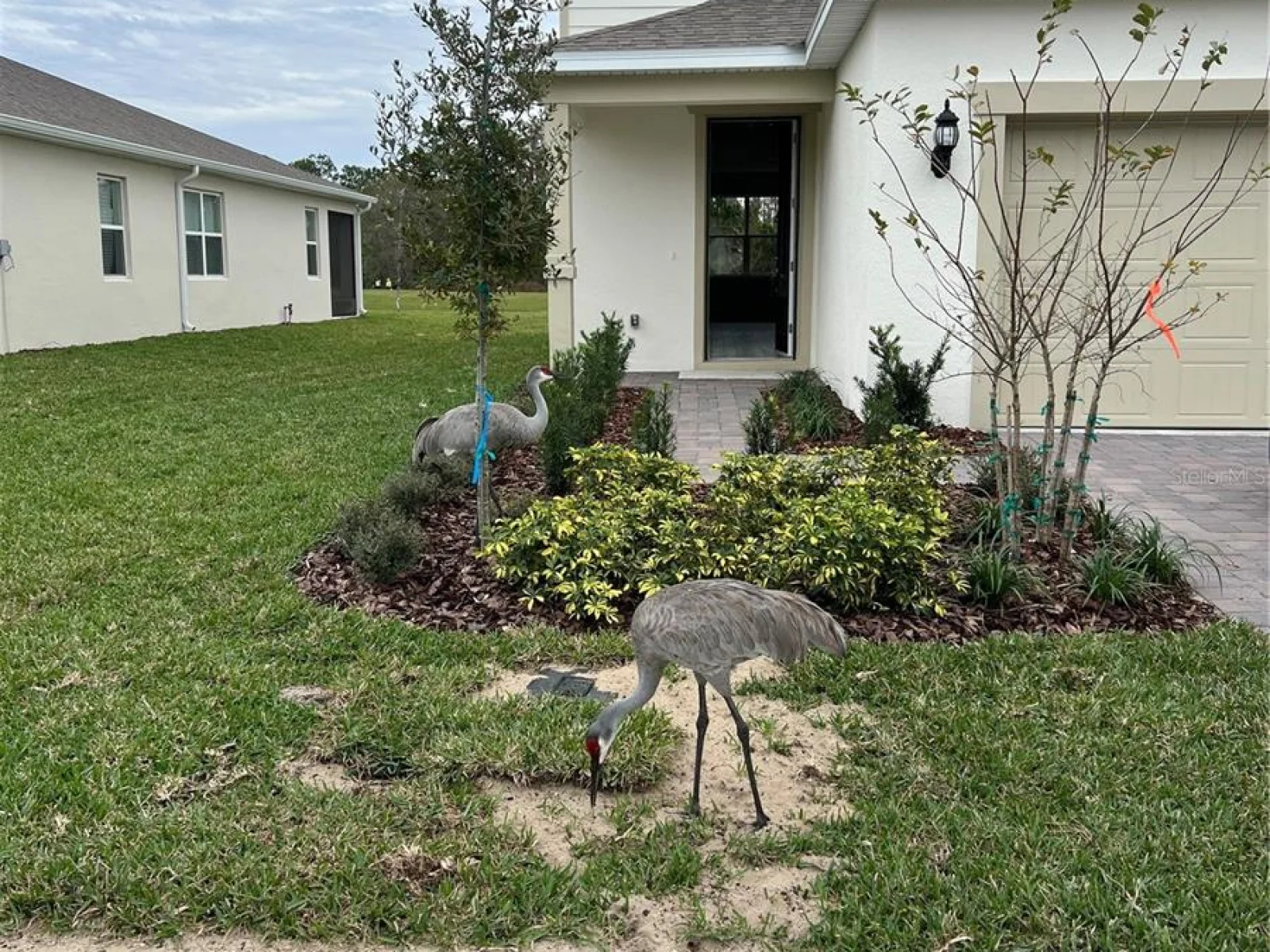 17575 SAW PALMETTO AVE, CLERMONT, FL — photo 47