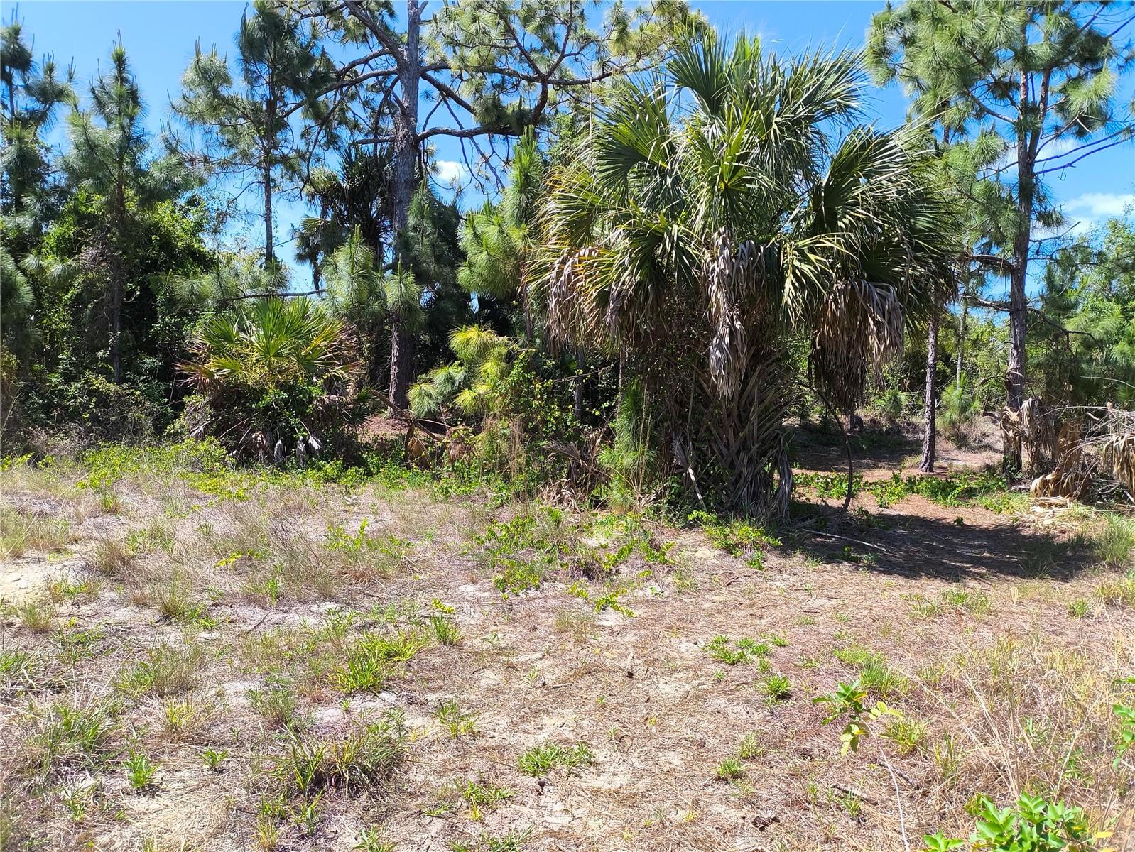 12289 CLARENDON AVE, PORT CHARLOTTE, FL — photo 2