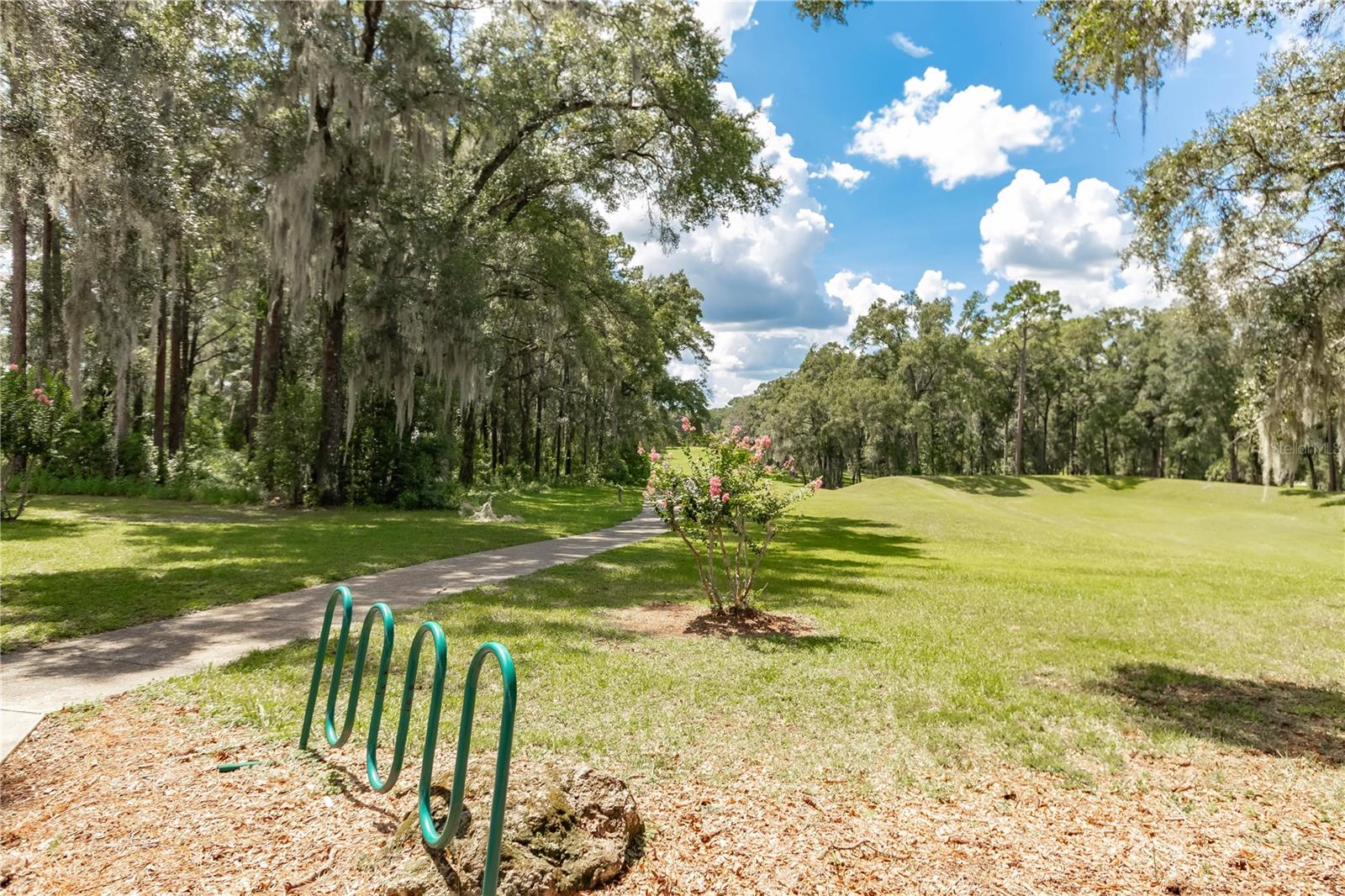 19660 SW 83RD PLACE RD #C16, DUNNELLON, FL — photo 69
